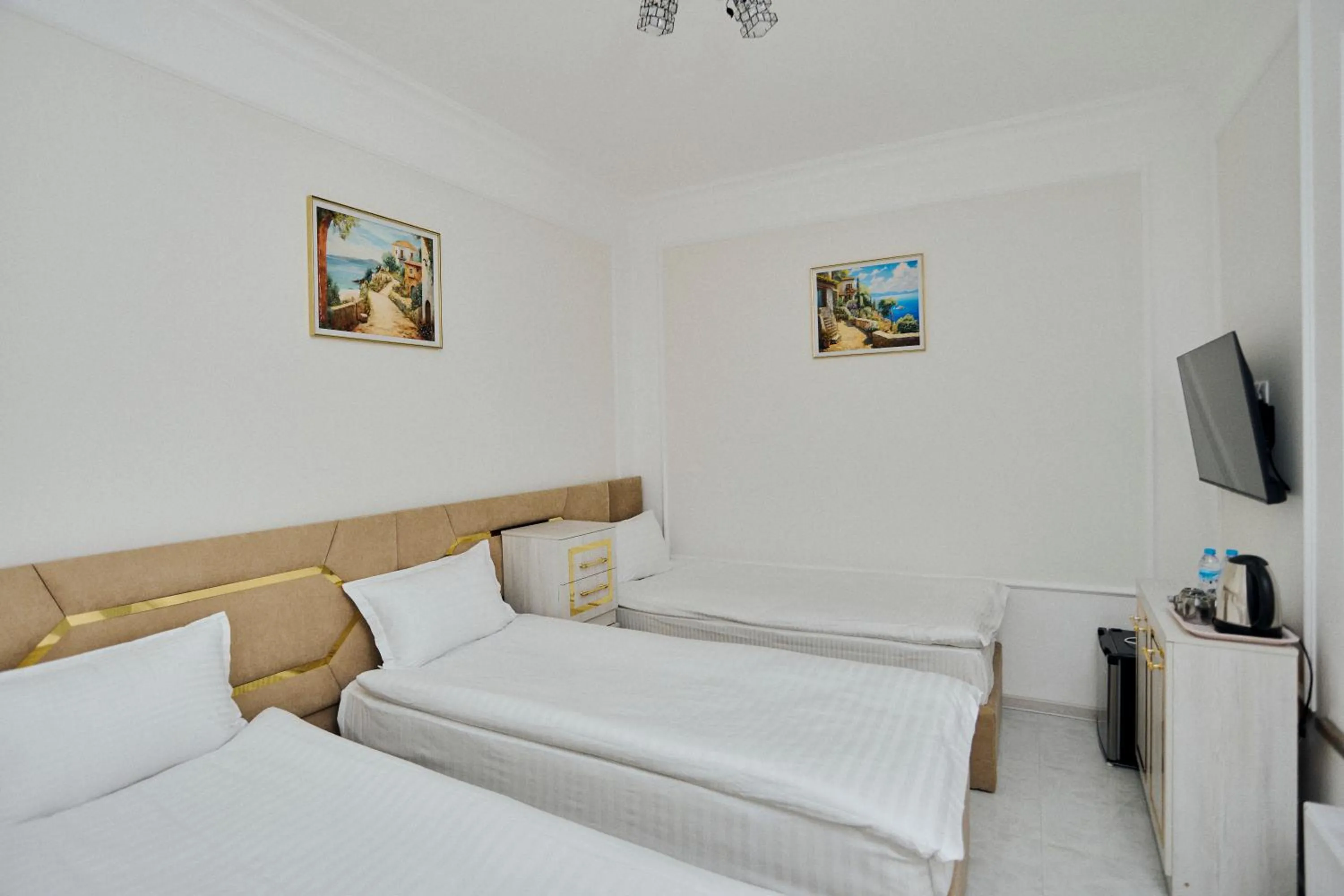 TV and multimedia in Registan Gold