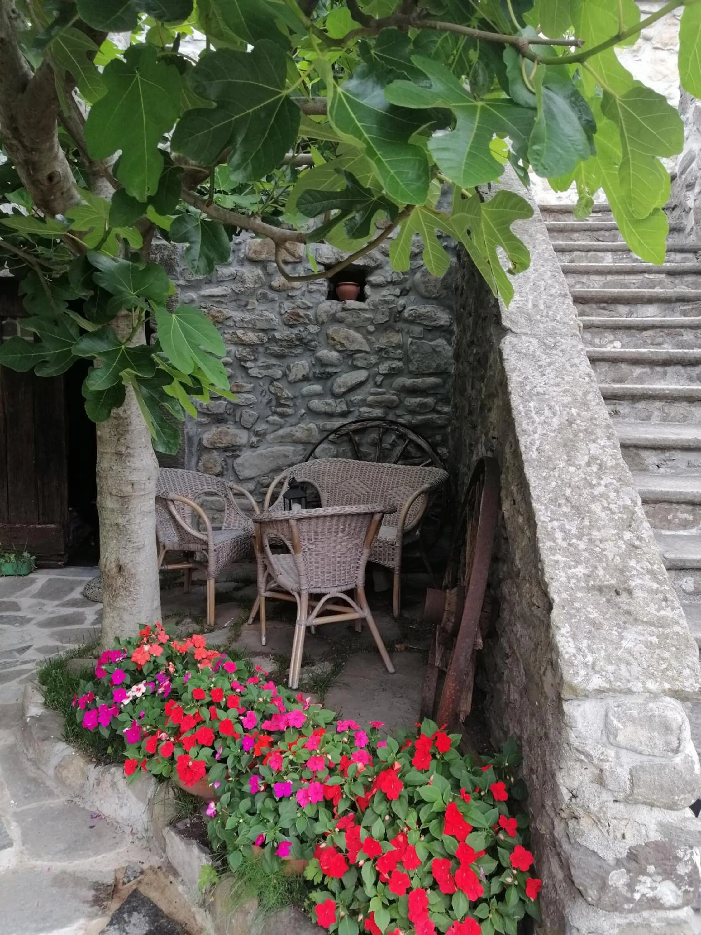 B&B Alle Ortensie Blu