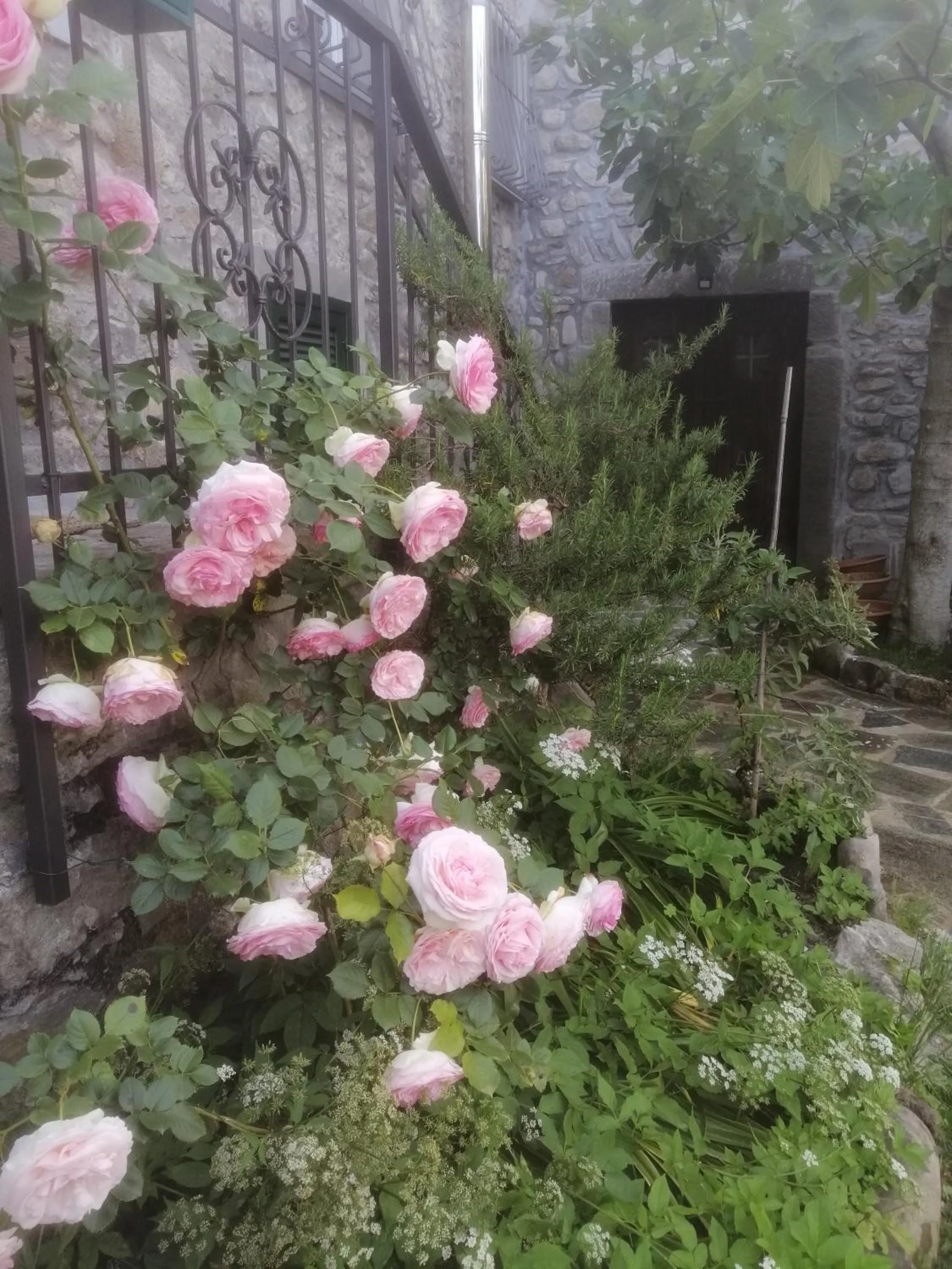 B&B Alle Ortensie Blu