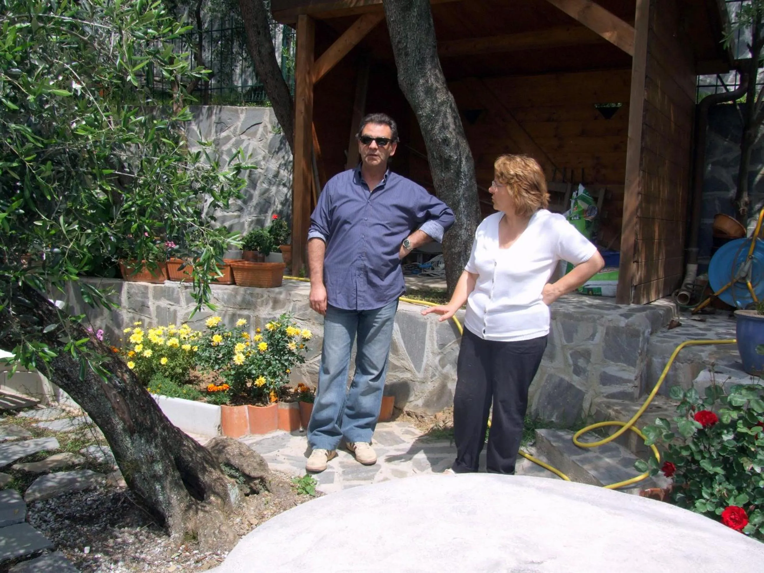 B&B Alle Ortensie Blu