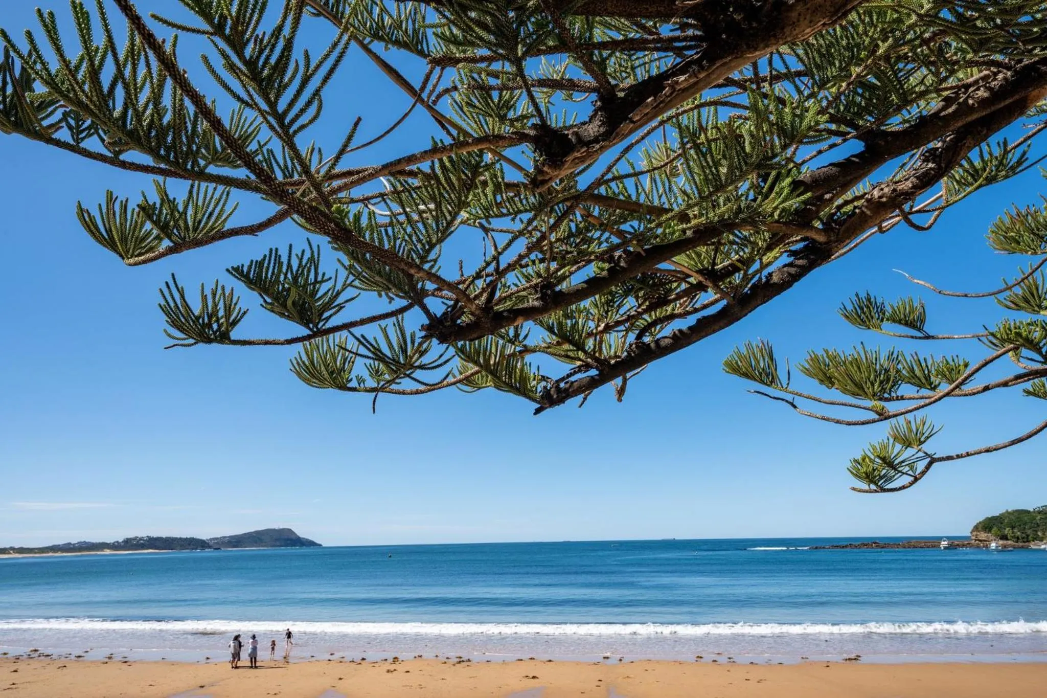 Area and facilities in voco Gosford by IHG