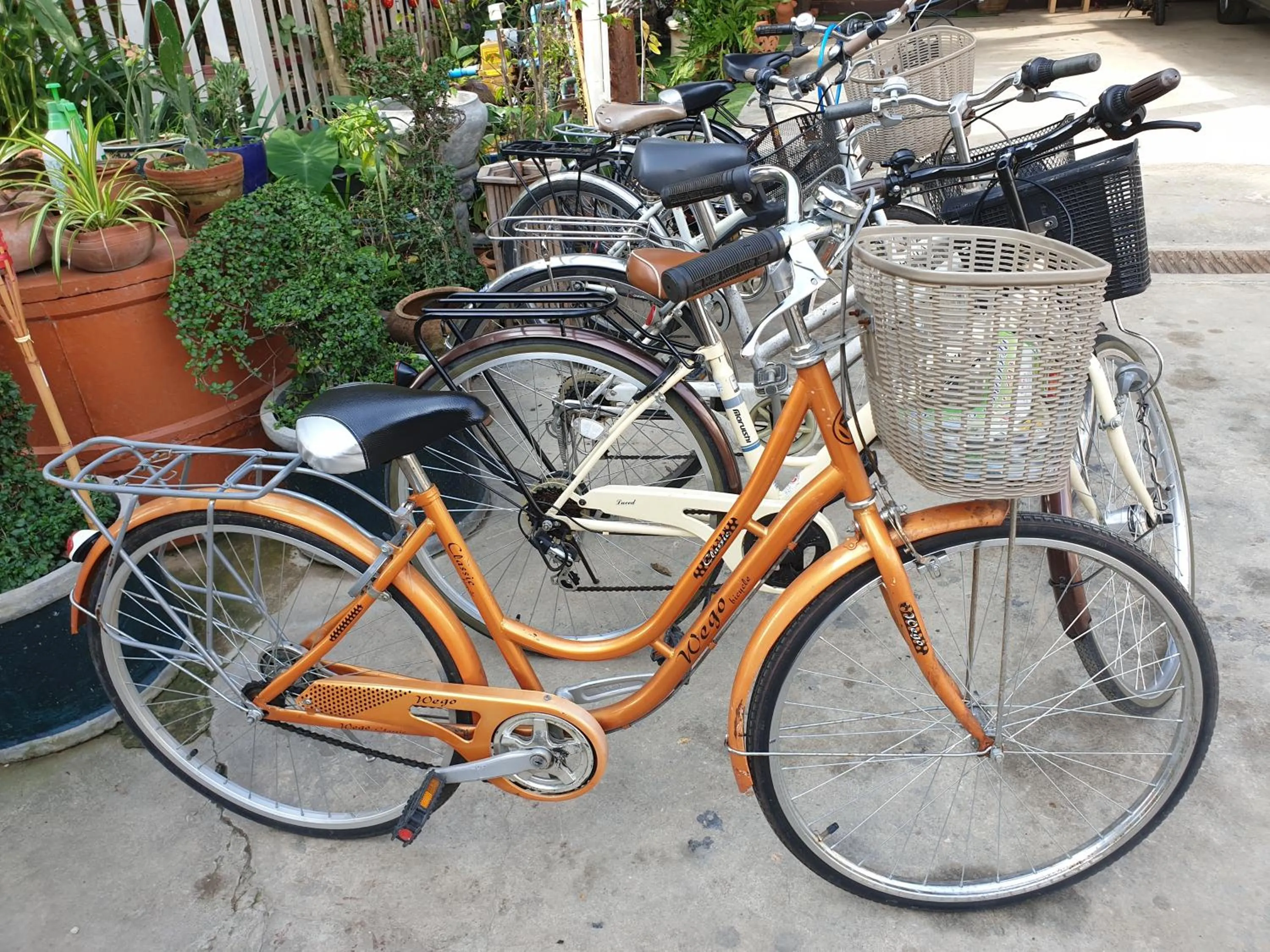 Activities in Kanecha's Home Lampang