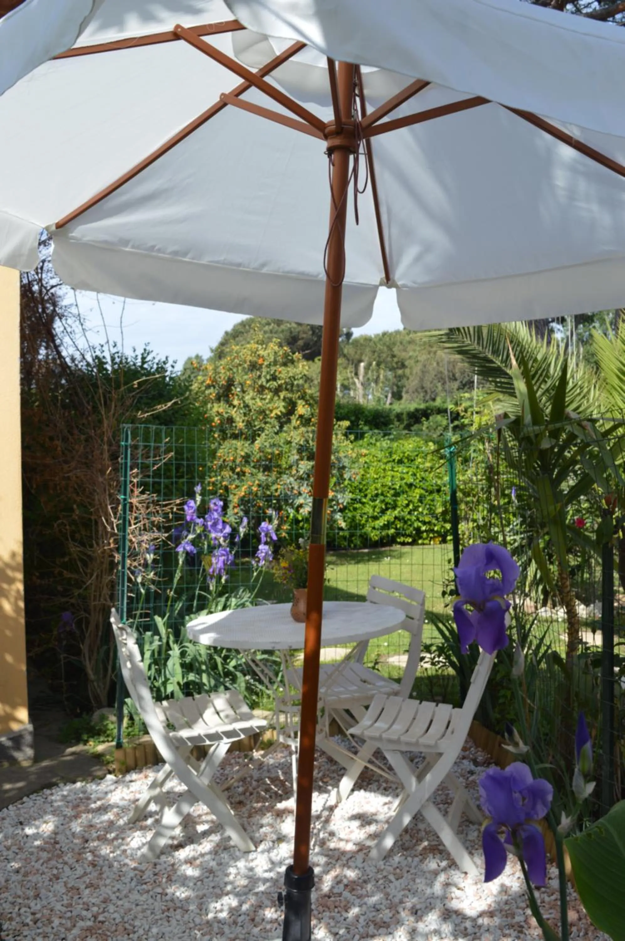 Balcony/Terrace in Le Cicale