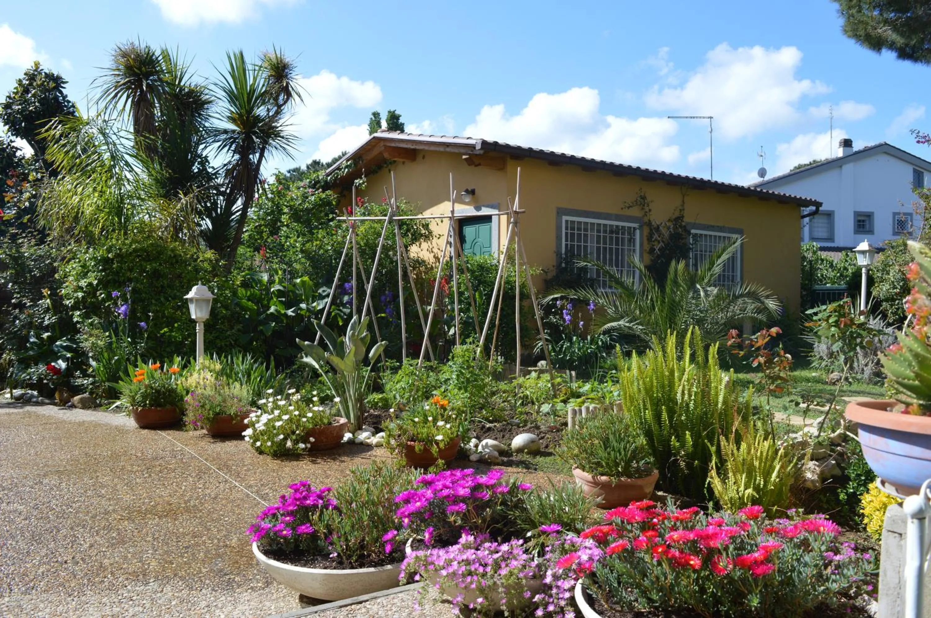Property building in Le Cicale