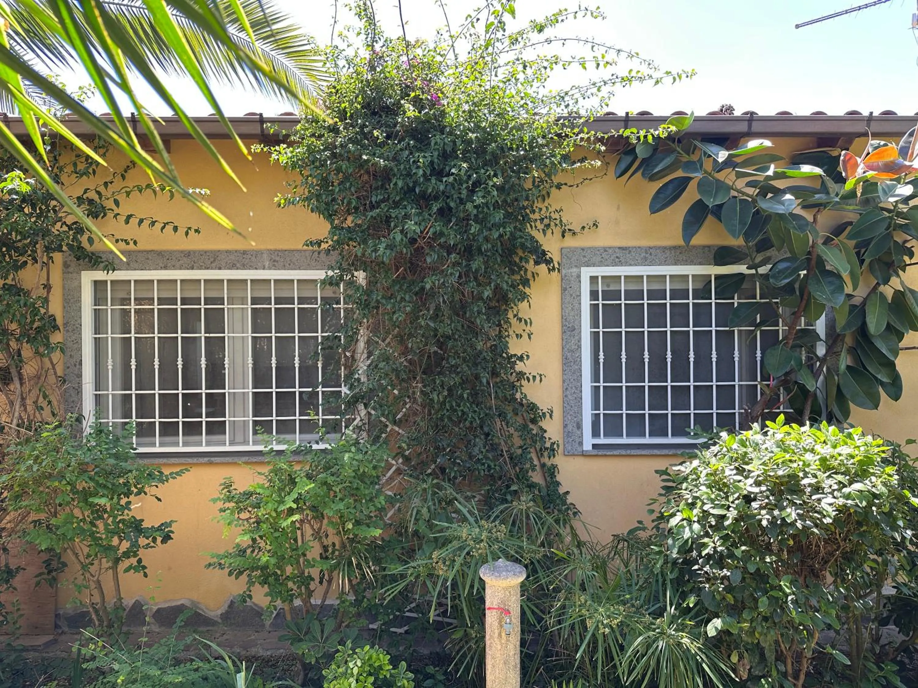 Property building in Le Cicale