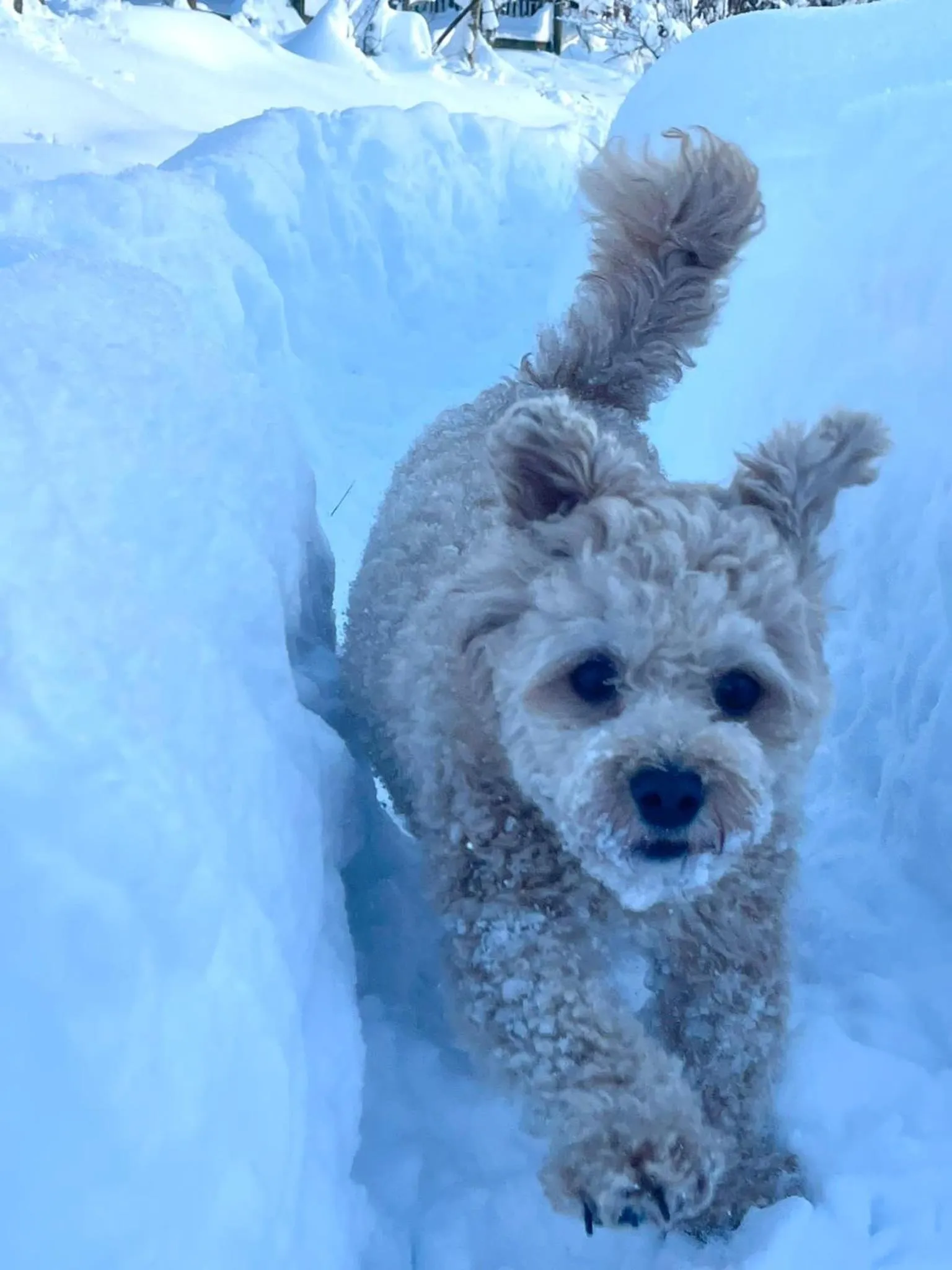Landgasthof Fürstenbrunn