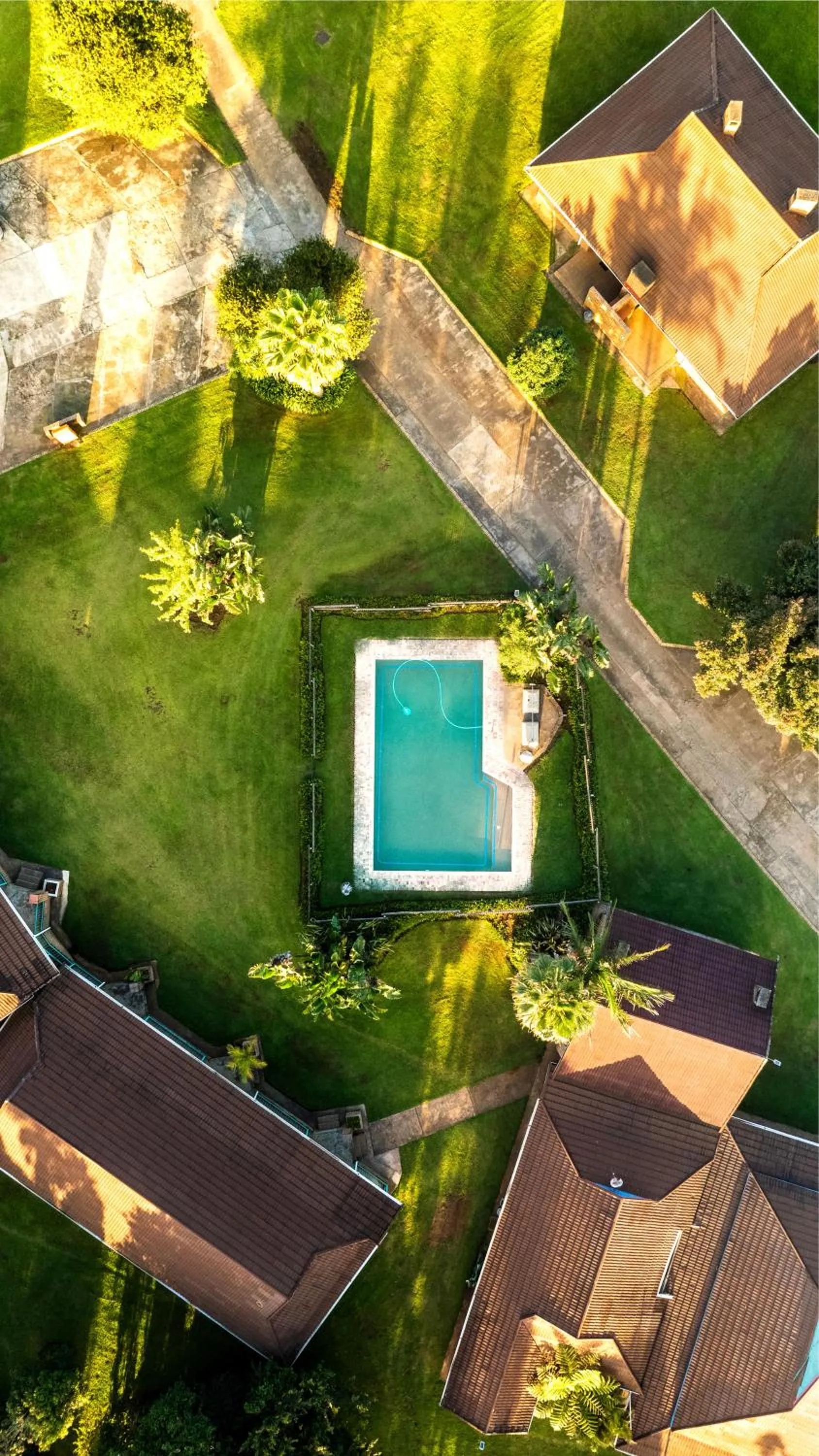 Swimming pool in Mogodi Lodge