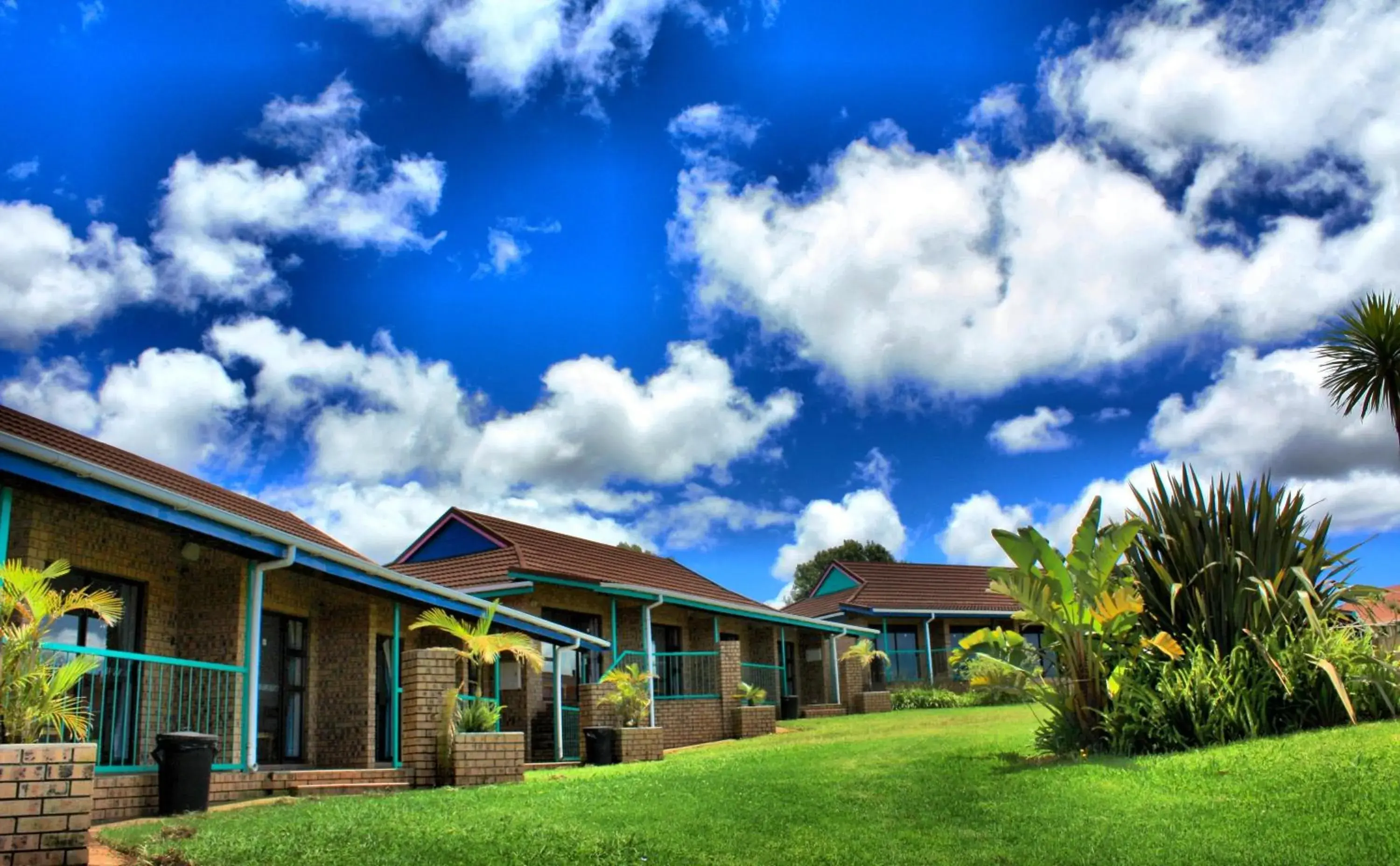 Standard Double Room in Mogodi Lodge Standard Double Room in Mogodi Lodge