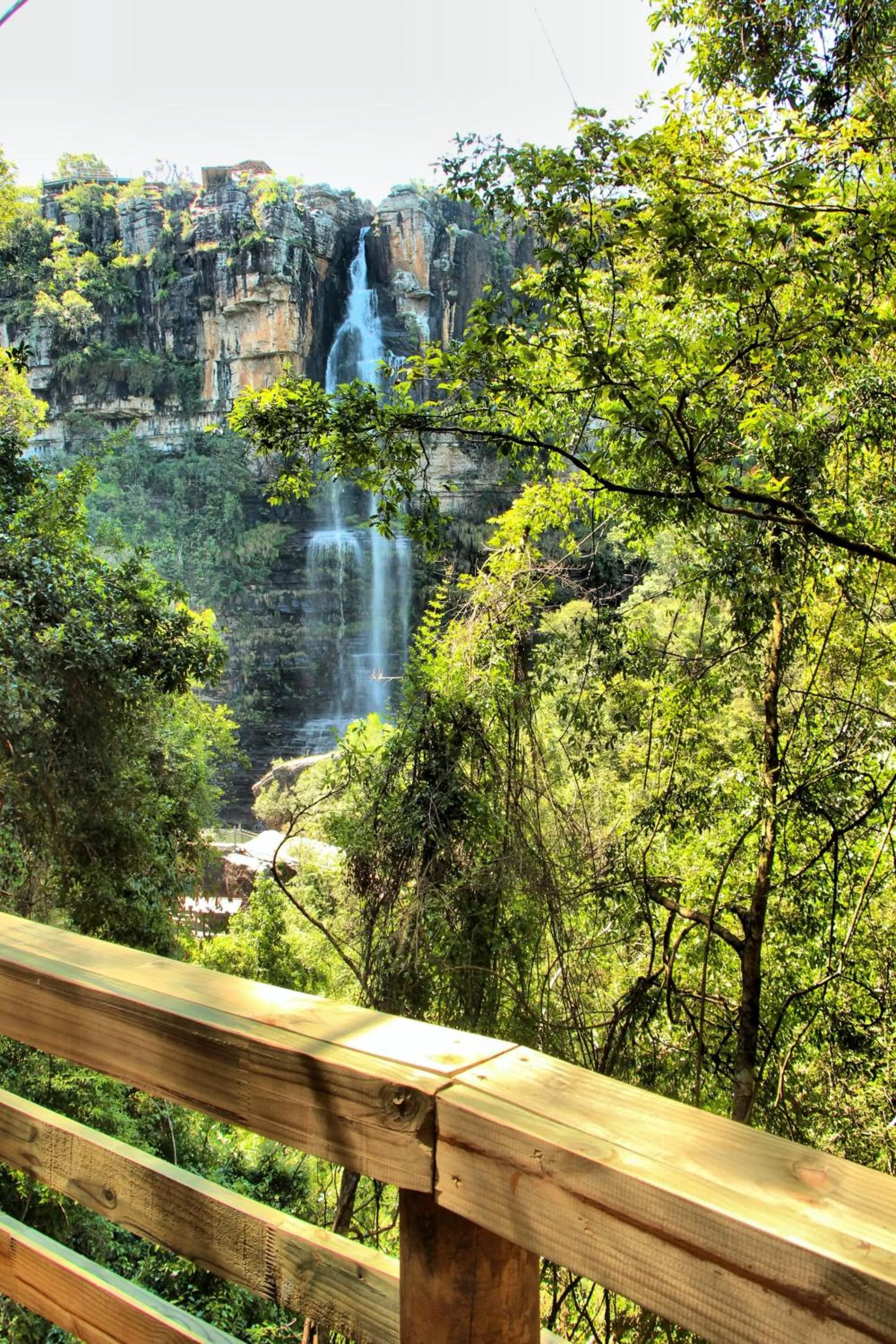 Natural landscape in Mogodi Lodge
