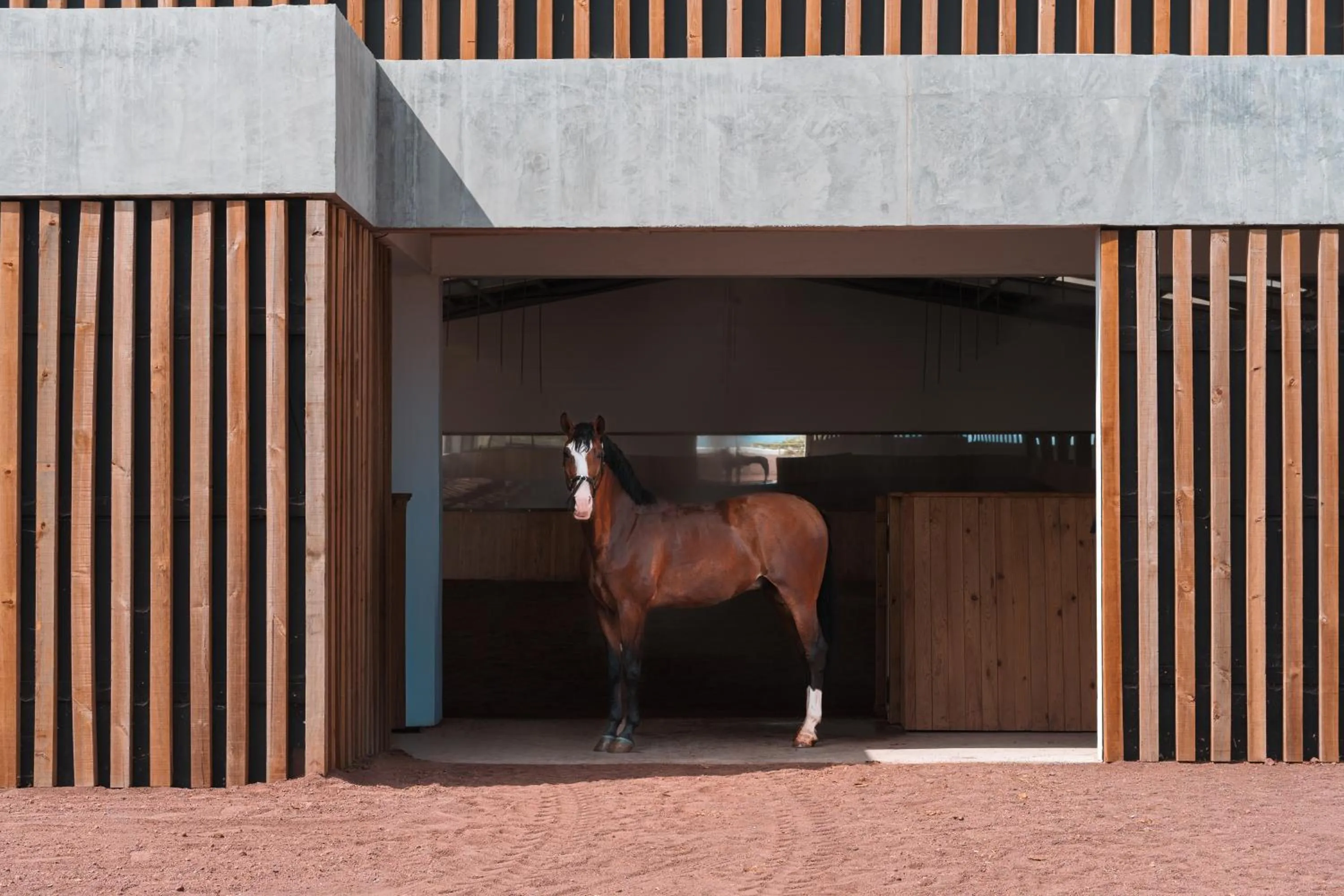 Horse-riding in Lusitano Garden Villas