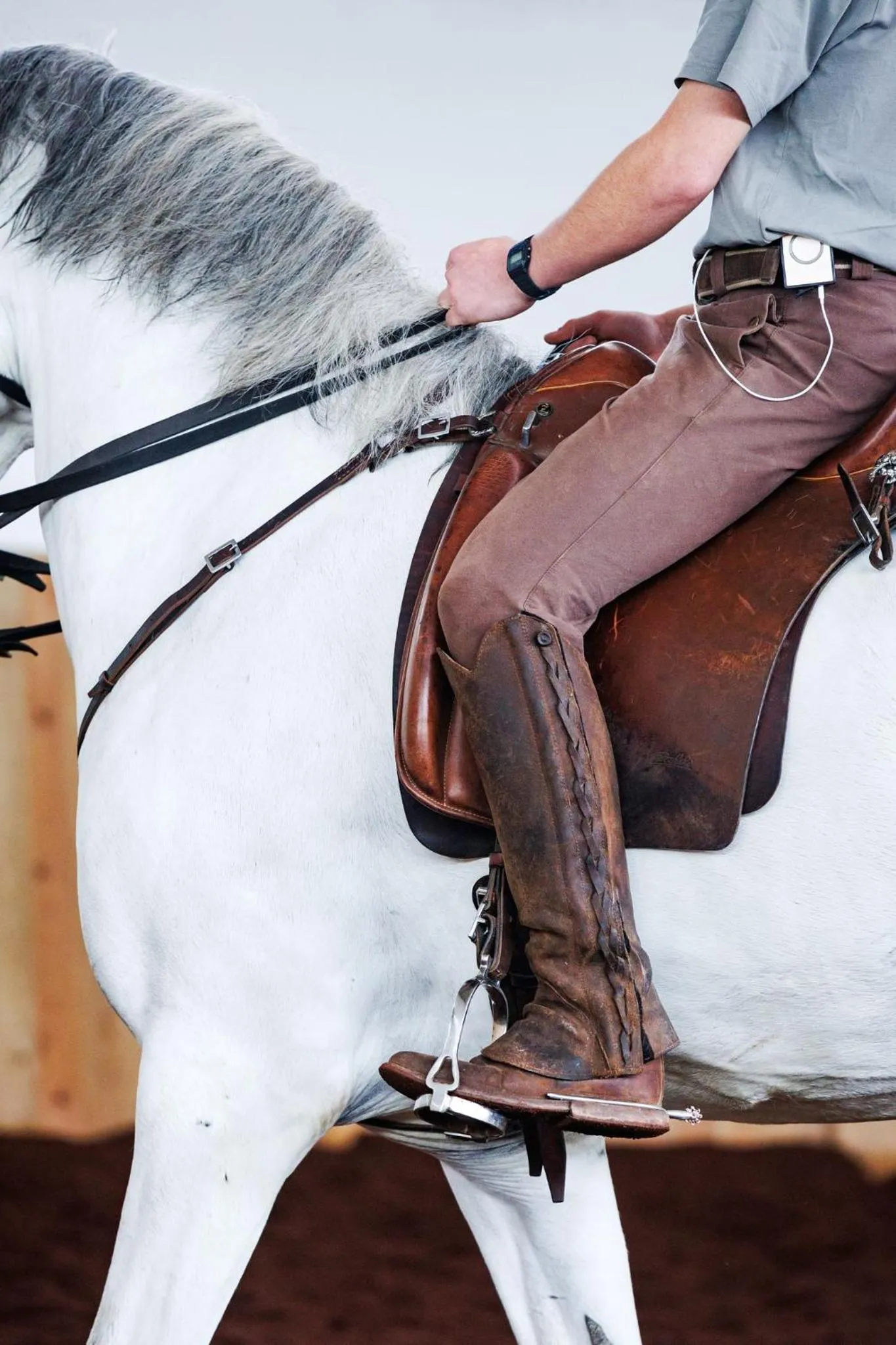 Horse-riding in Lusitano Garden Villas