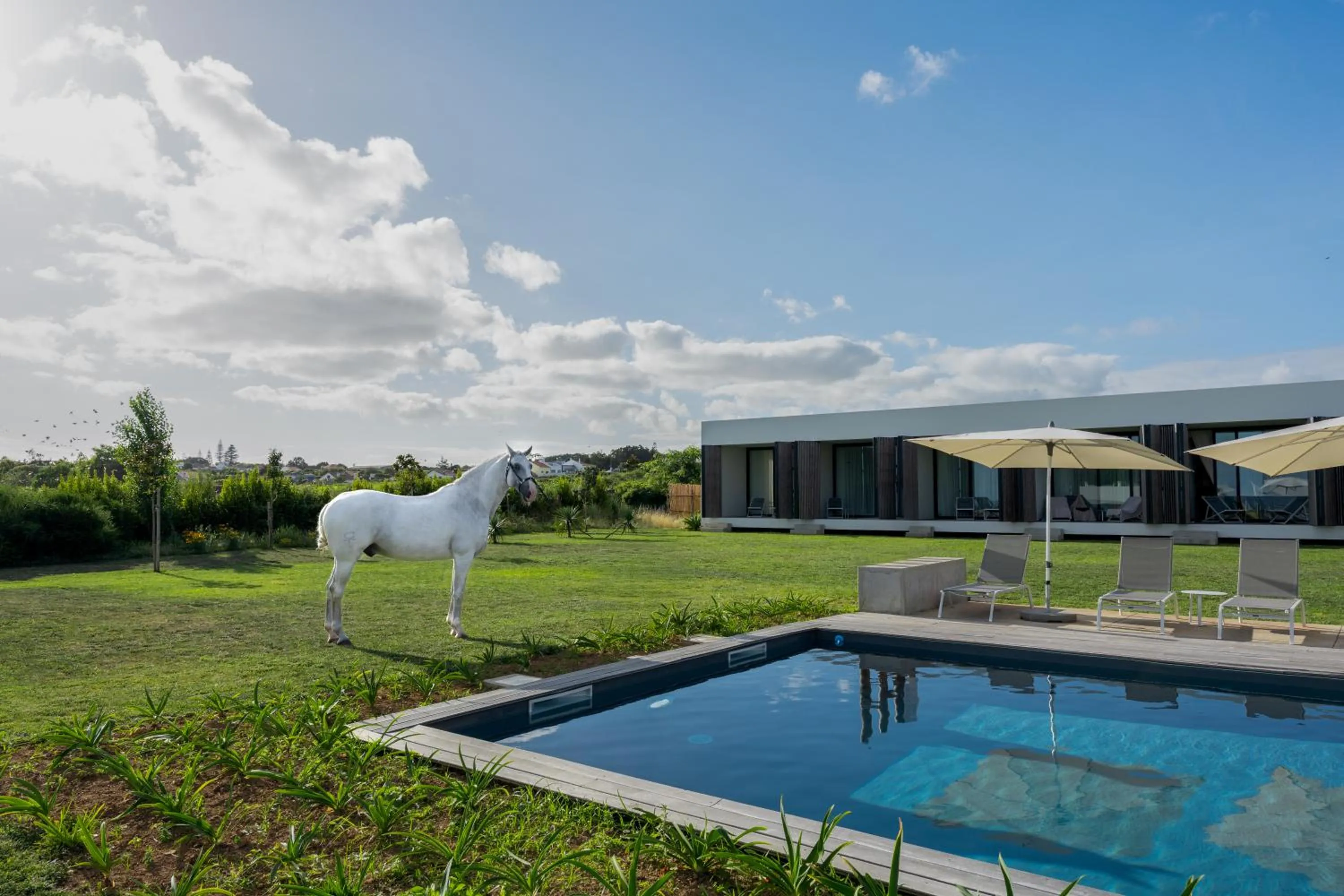 Swimming pool in Lusitano Garden Villas