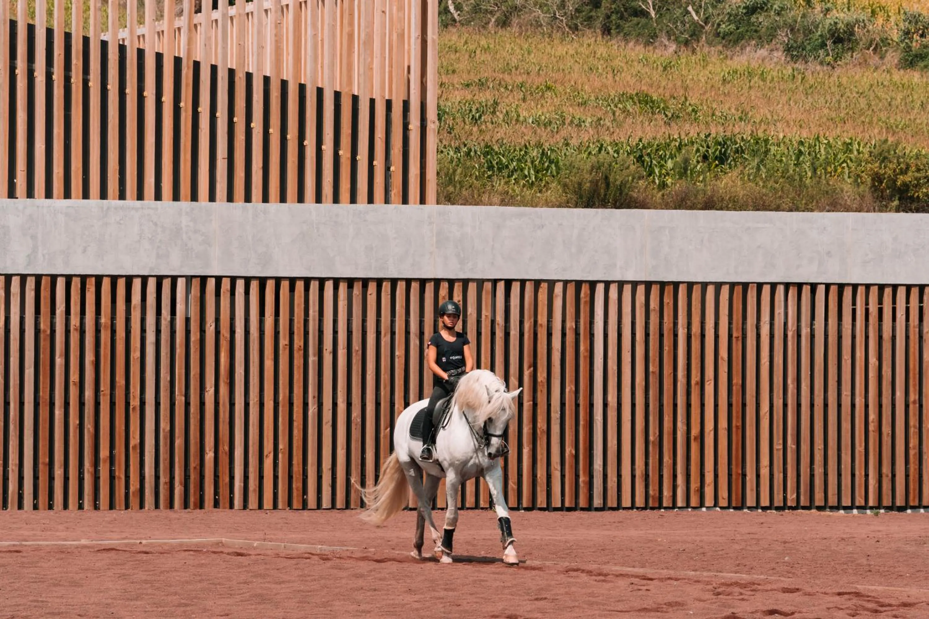 Horse-riding in Lusitano Garden Villas