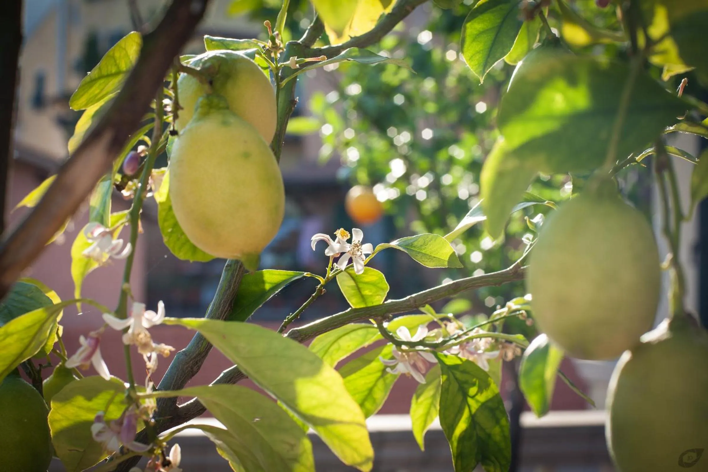 Decorative detail in B&B La Sosta degli Artisti