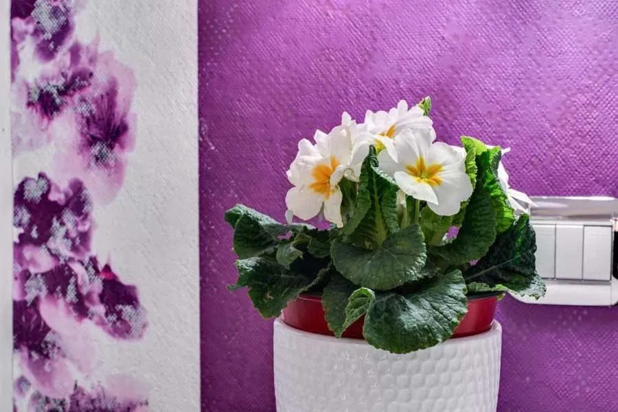 Billiard in Marco Polo B&B