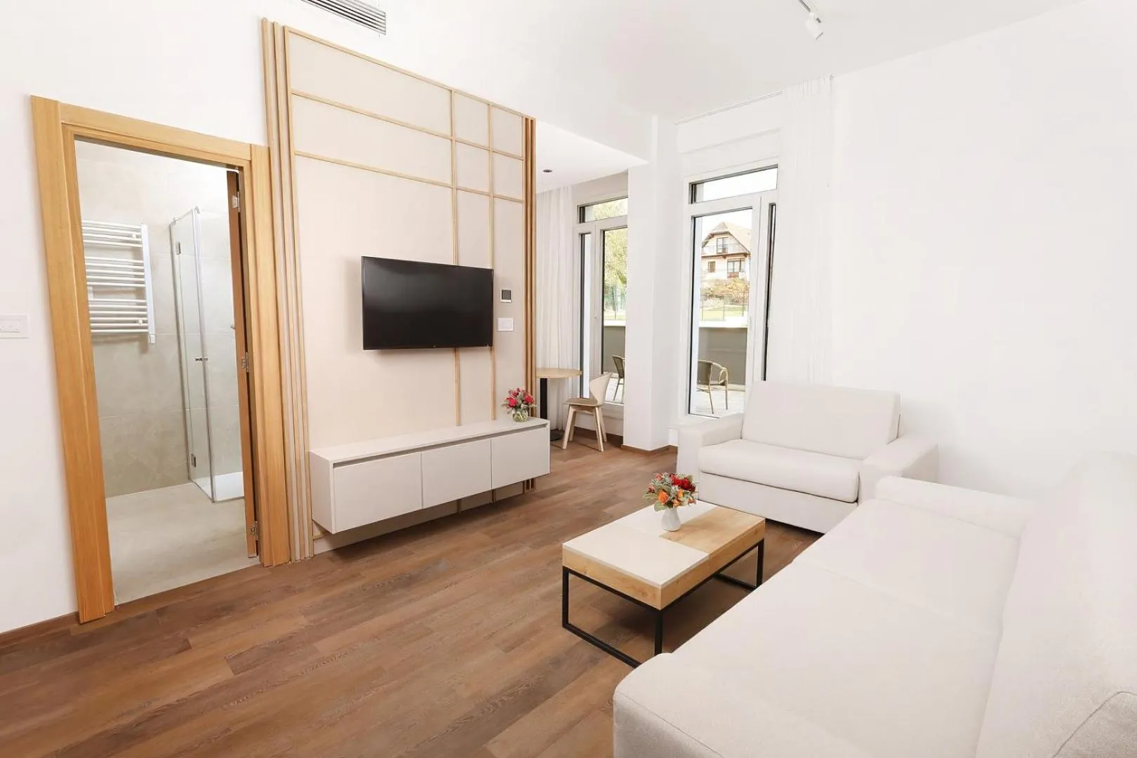 TV and multimedia in Apartmani Fruški Cvet - Fruške Terme