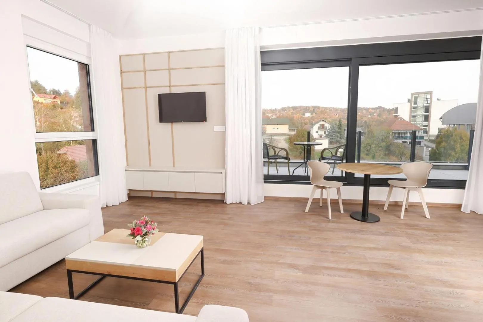 TV and multimedia in Apartmani Fruški Cvet - Fruške Terme