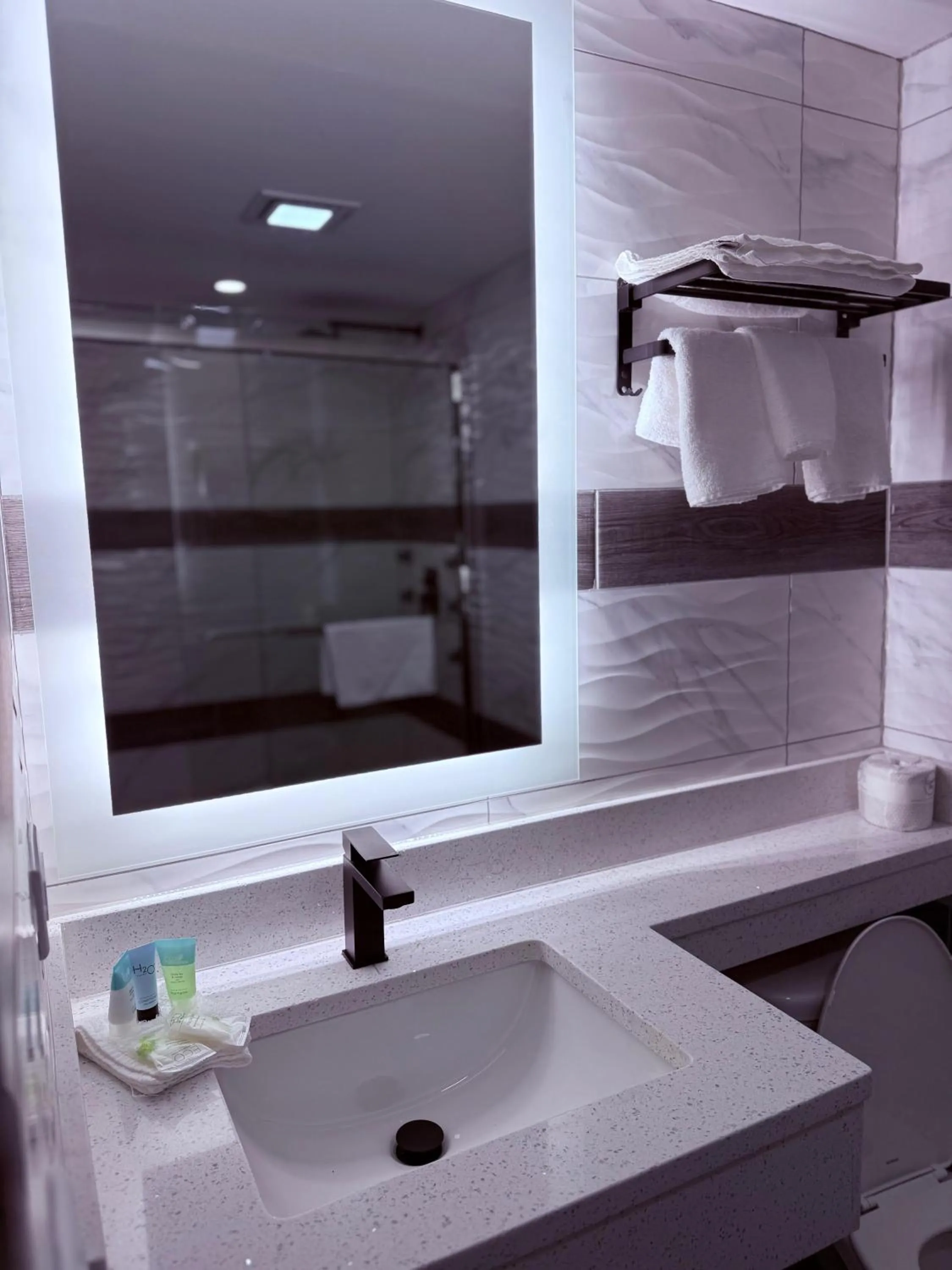 Bathroom in The Vine Hotel Bronx New