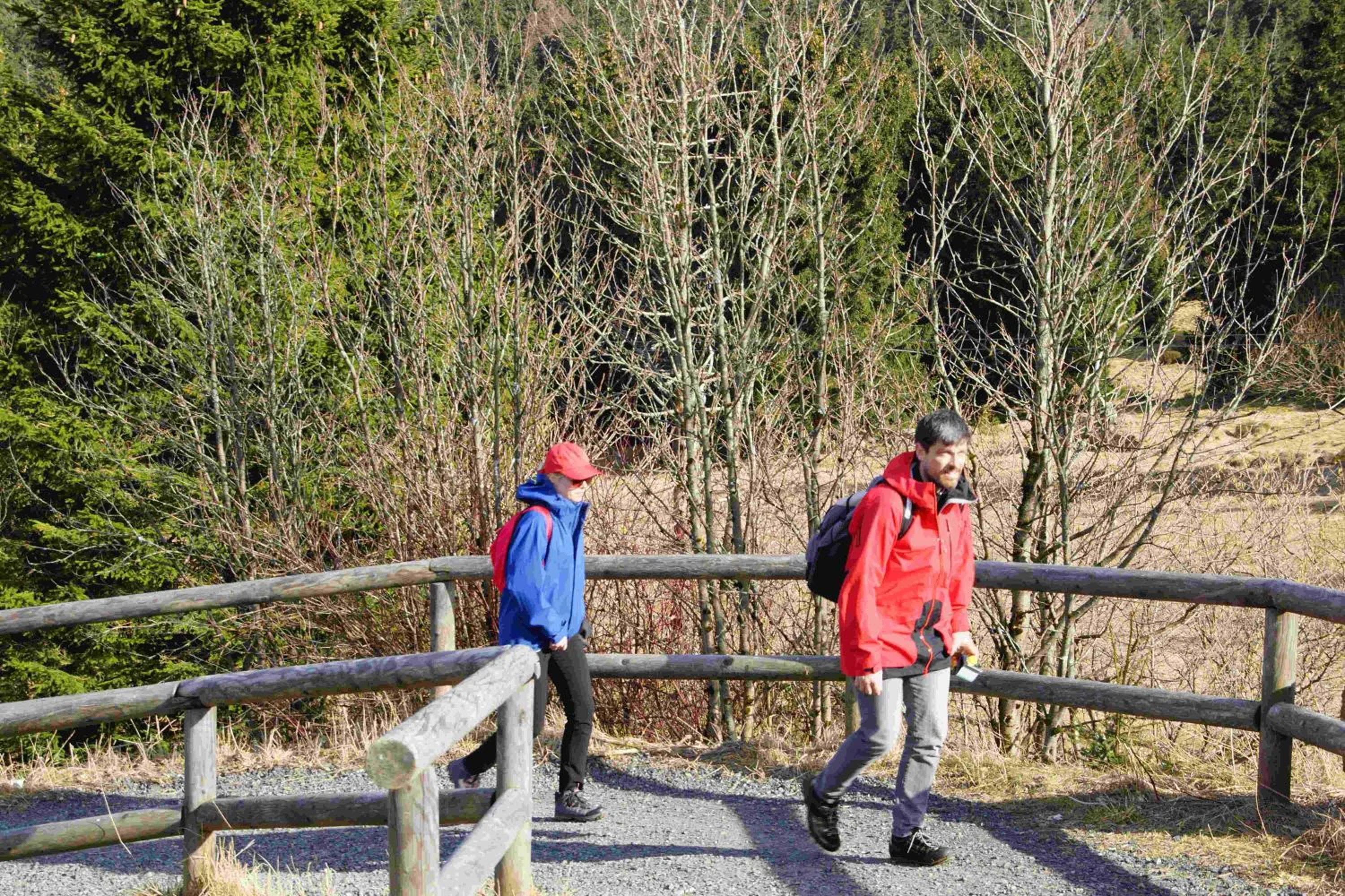 Natural landscape in Naturhotel & Bayernhütte am Brauneck