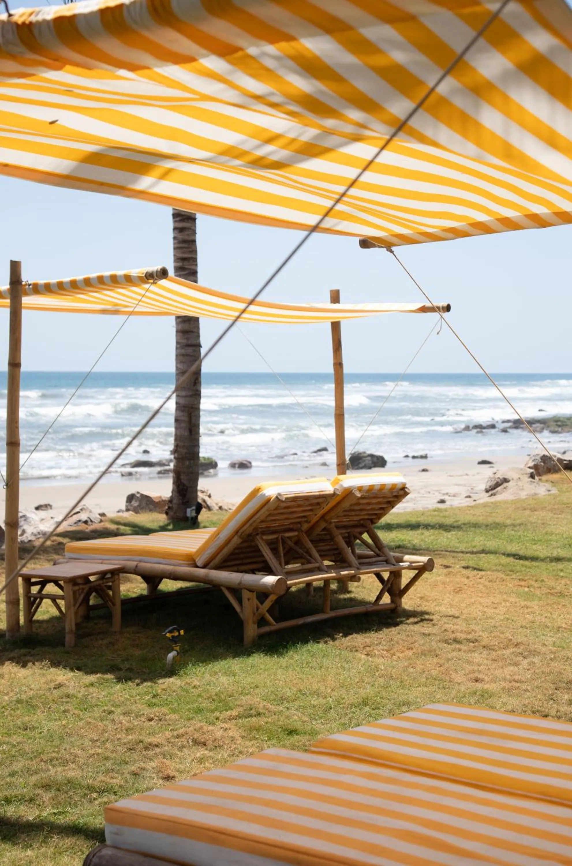 Garden in Hotel Pomelo