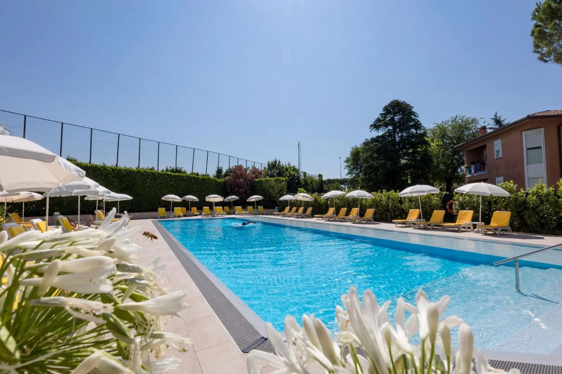 Swimming pool in Hotel Du Parc