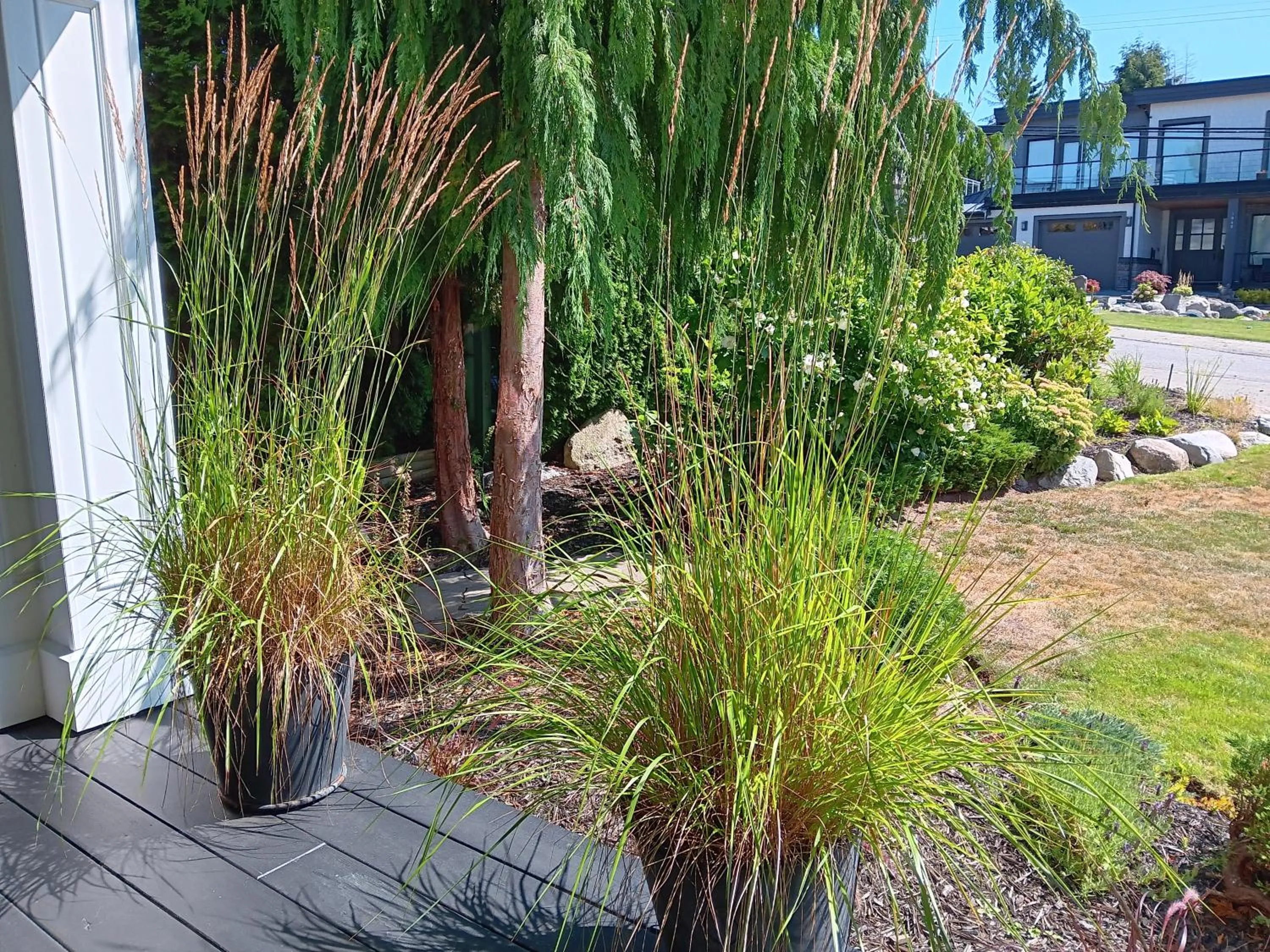 Garden view in Sand and Salt Bed & Breakfast
