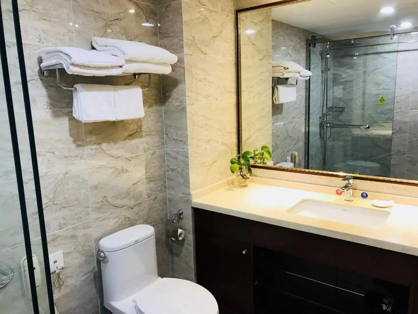 Toilet in Beijing Shengli Hotel