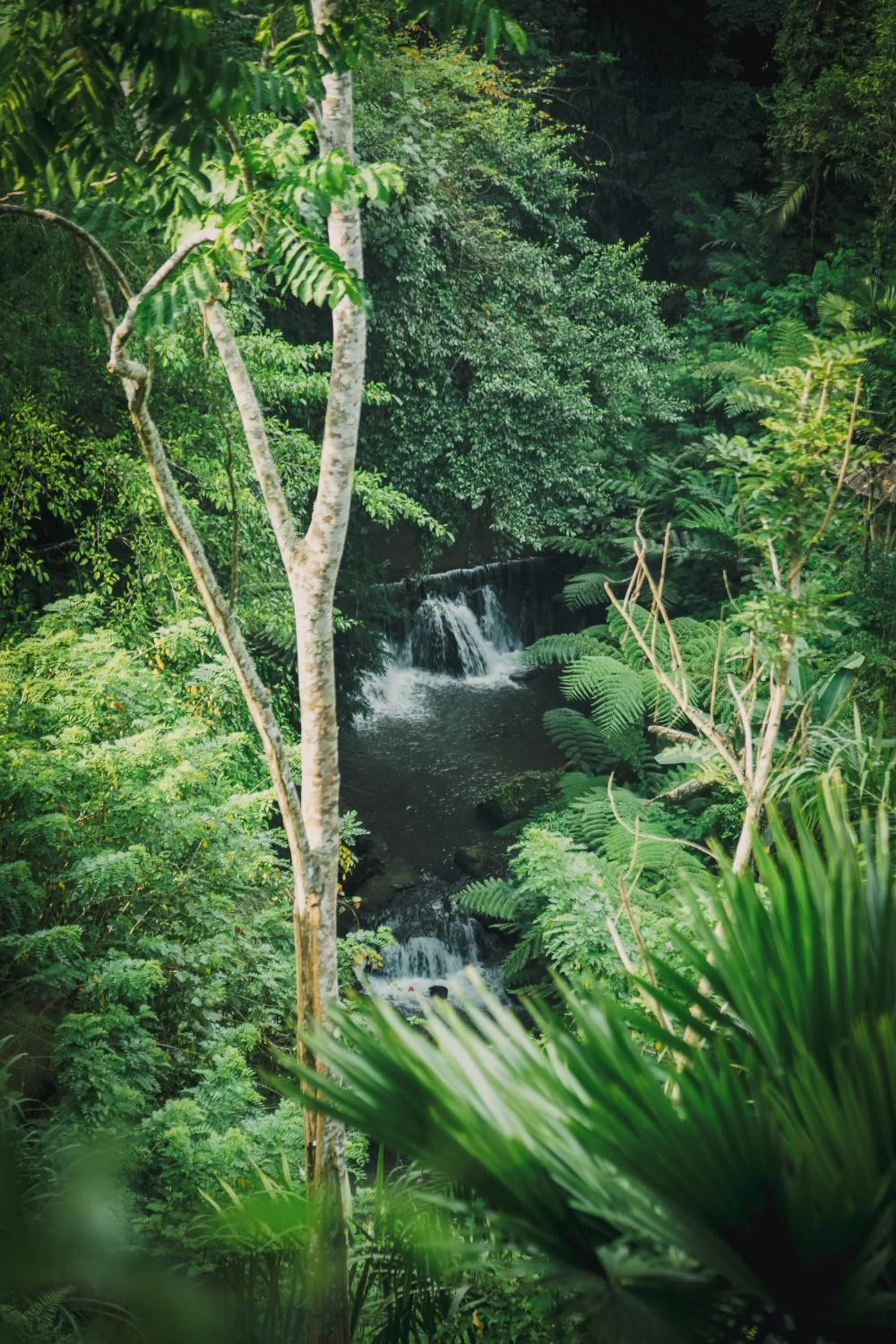View (from property/room) in Sanggraloka Ubud