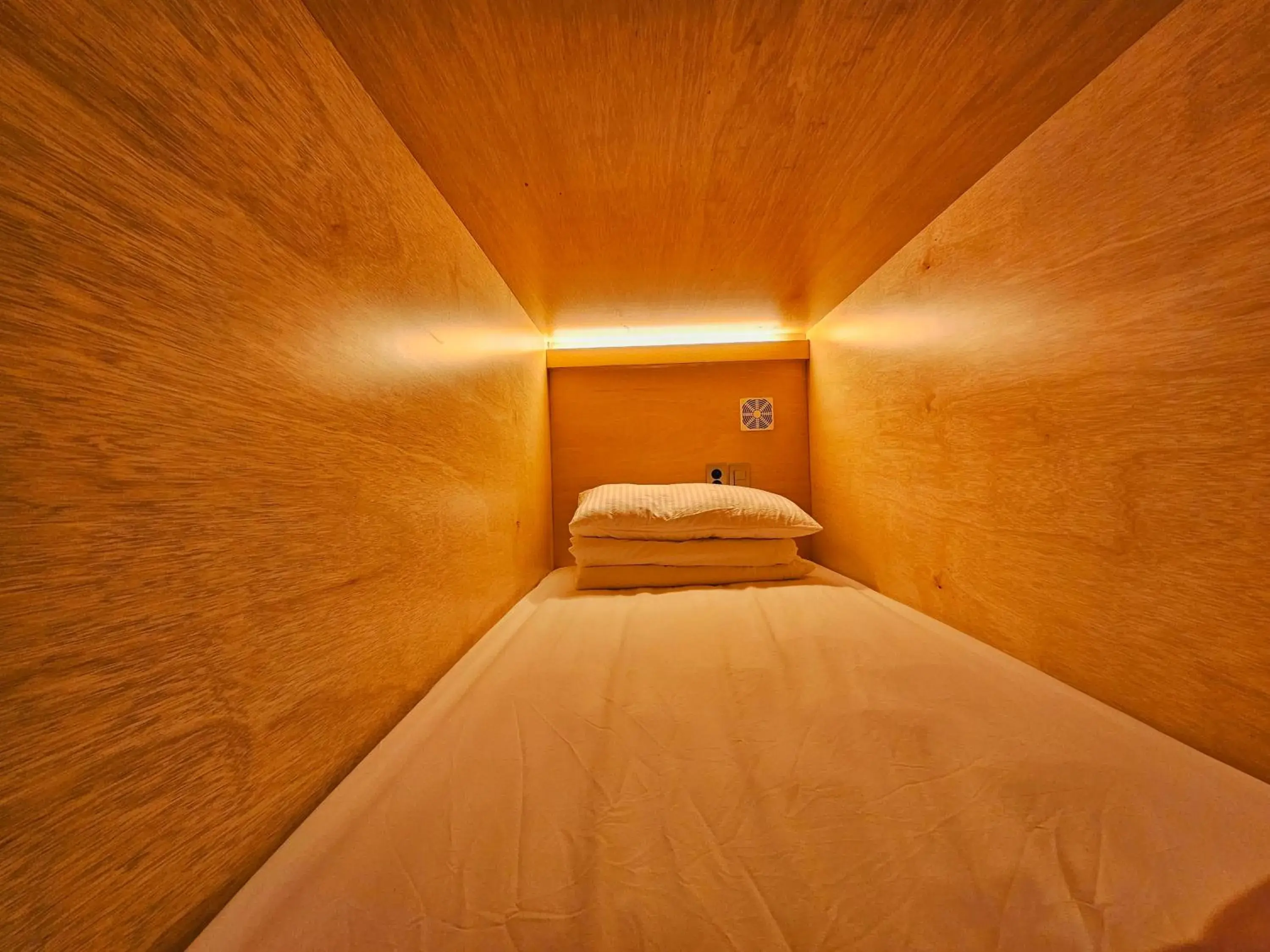 Single Bed in Female Dormitory Room in 82 Capsule Hotel Single Bed in Female Dormitory Room in 82 Capsule Hotel