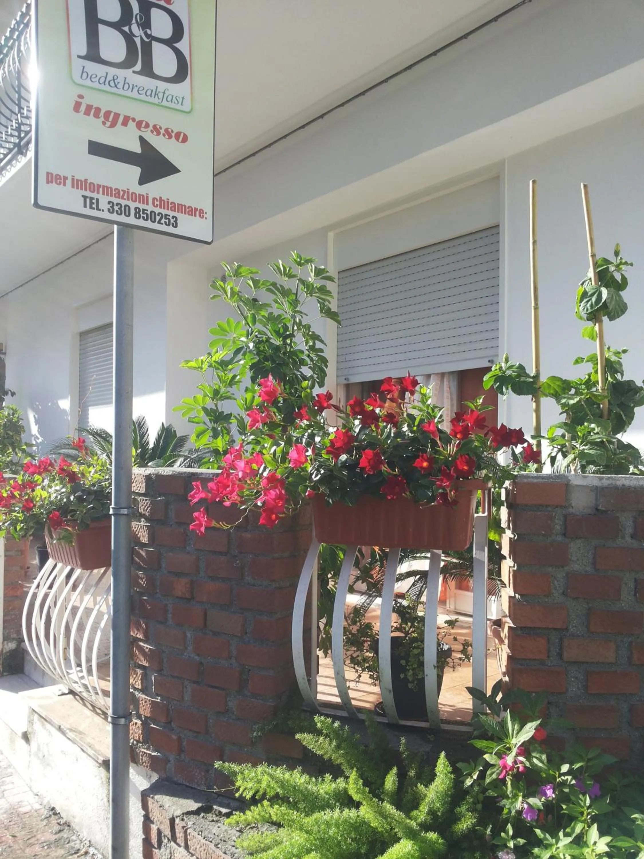 Property building in B&b Irma