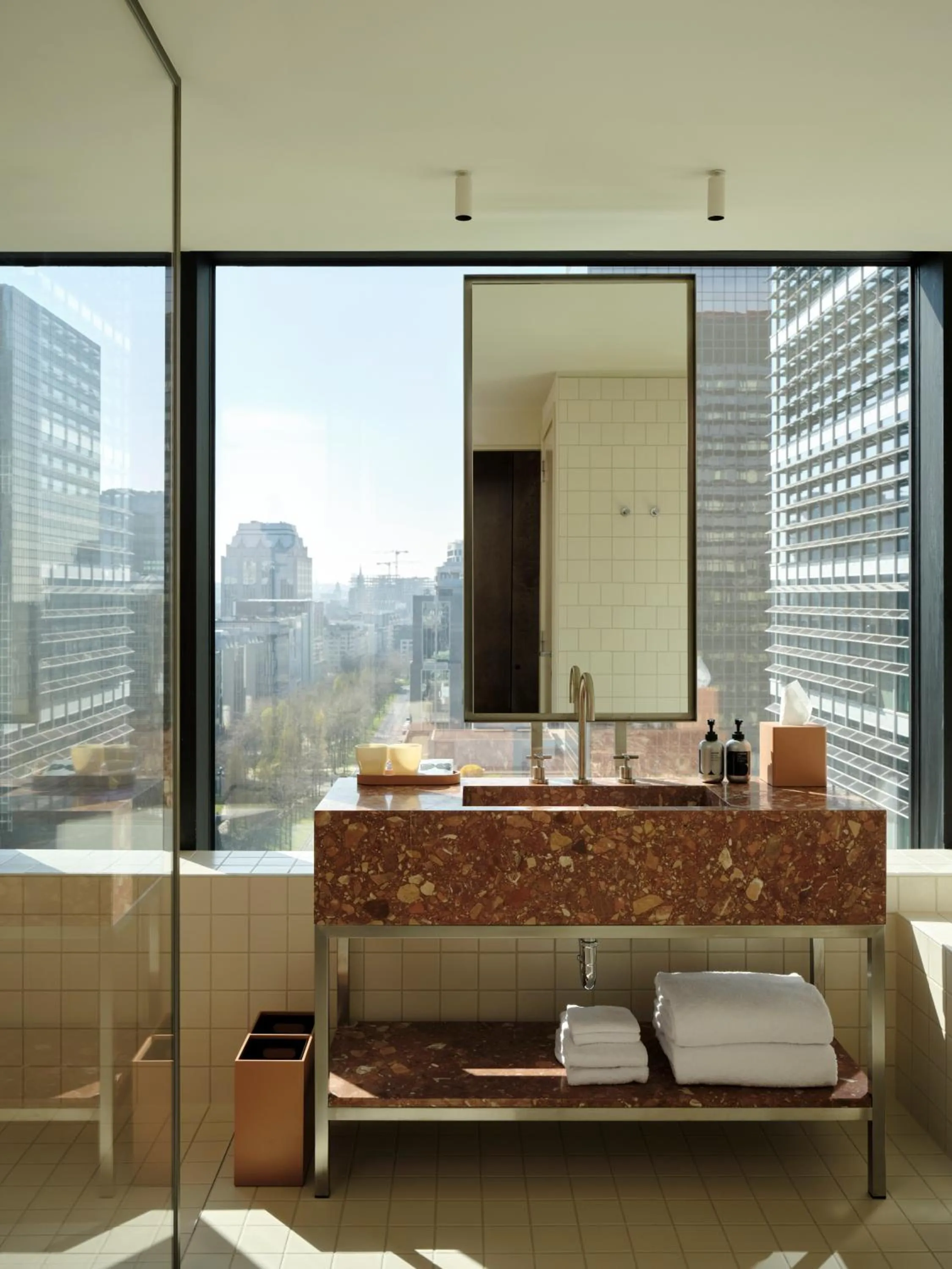 Bathroom in The Standard, Brussels