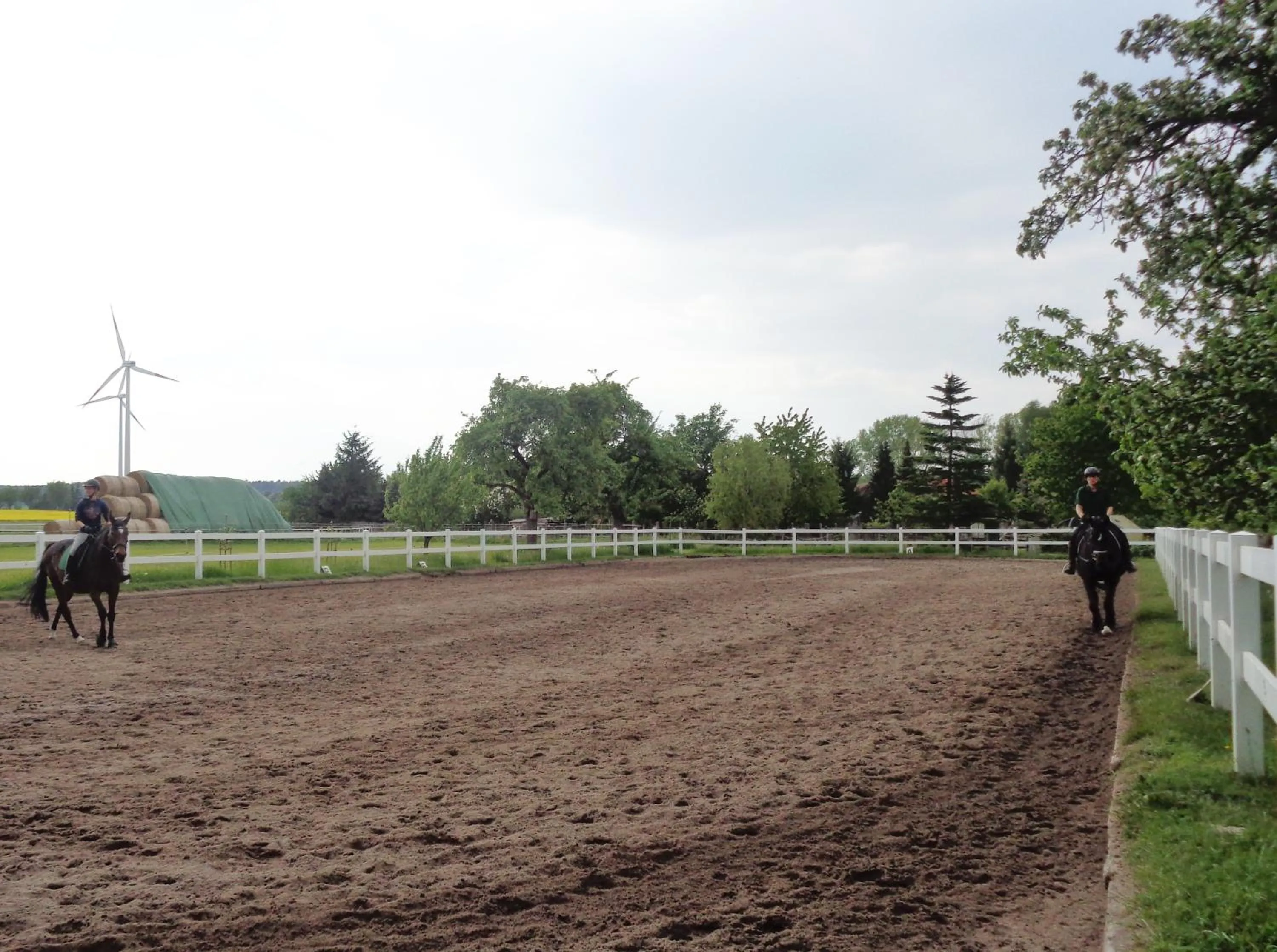 Horse-riding in Hotel Apartment Puell