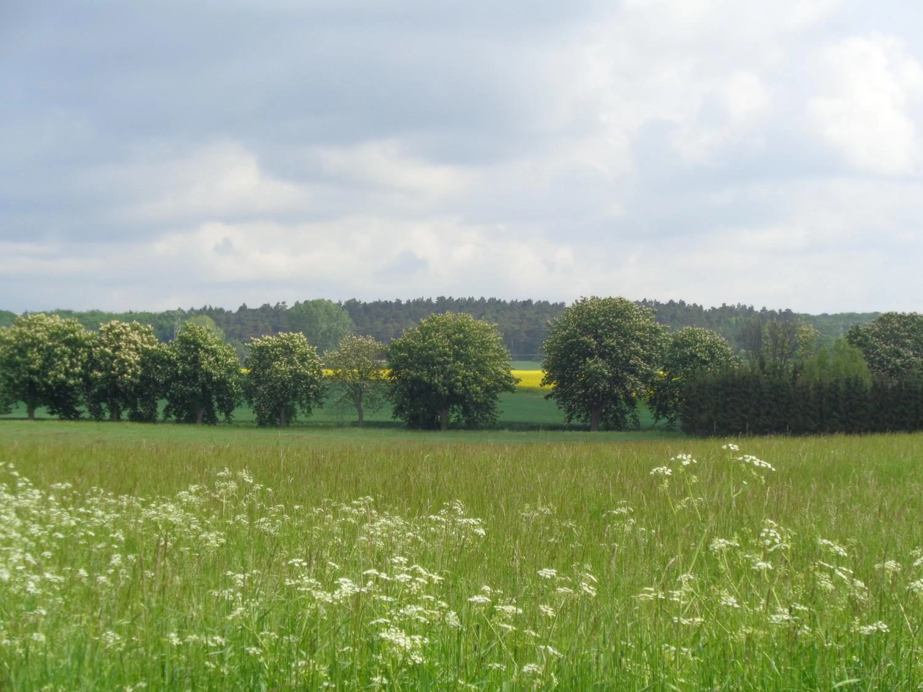 Natural landscape in Hotel Apartment Puell