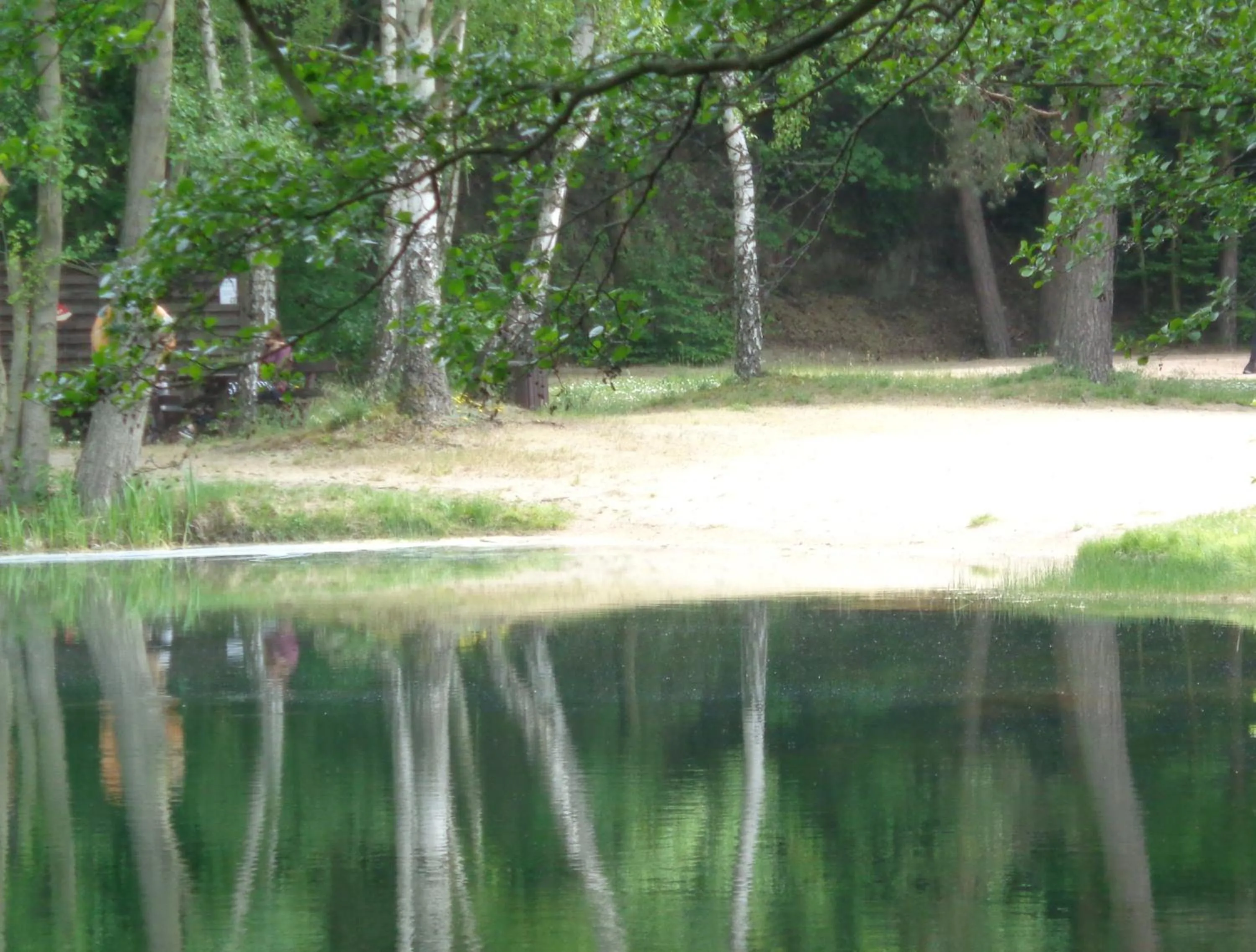 Snorkeling in Hotel Apartment Puell