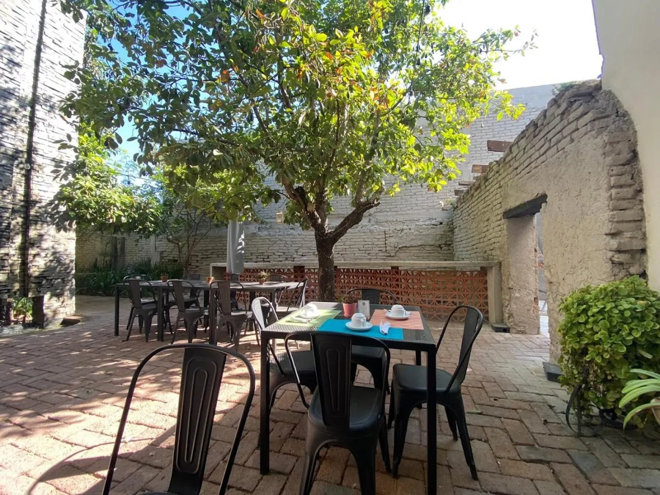 Garden in Entre Patios Hotel Boutique