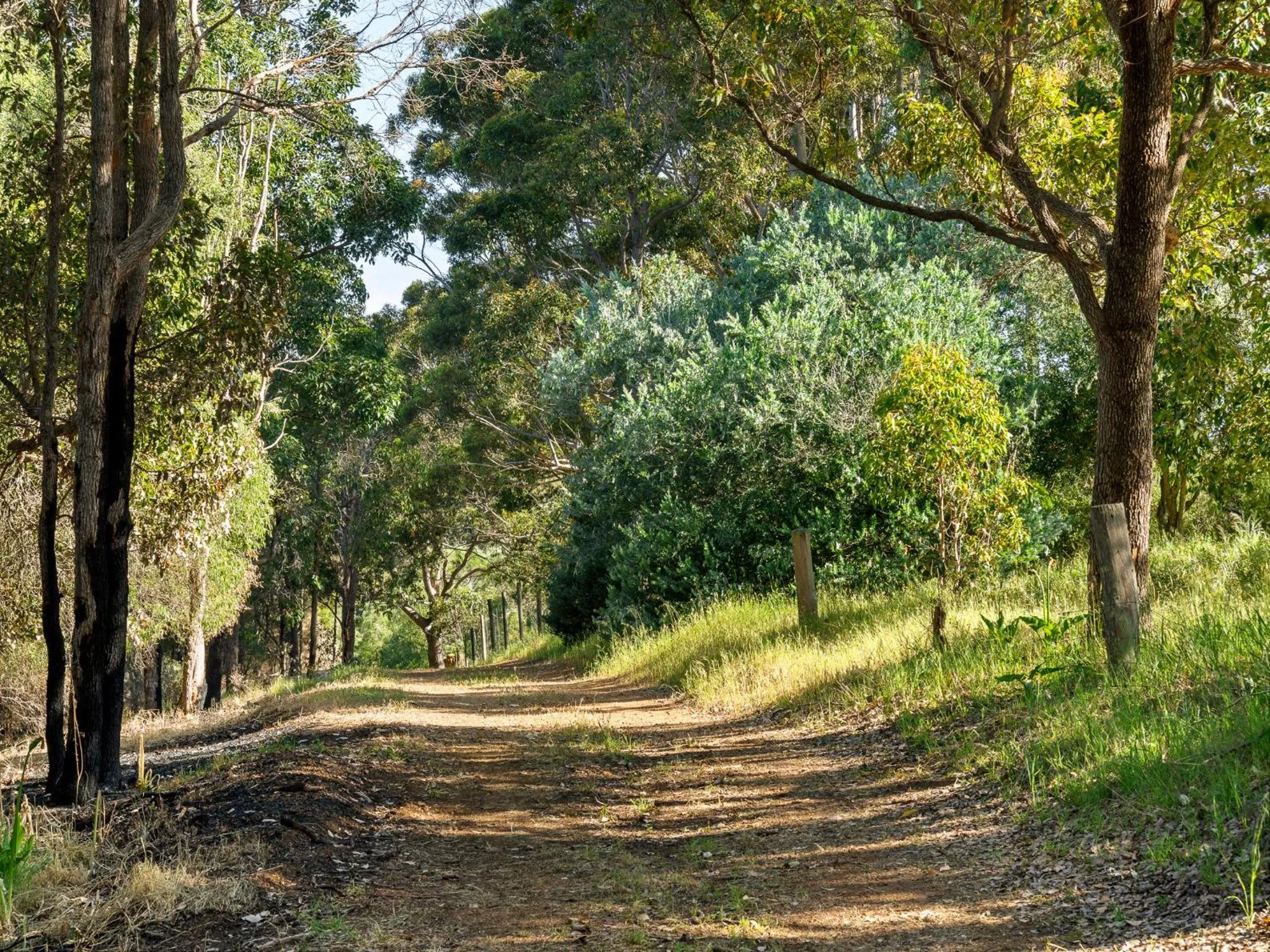 Natural landscape in The Deck - Margaret River NEW