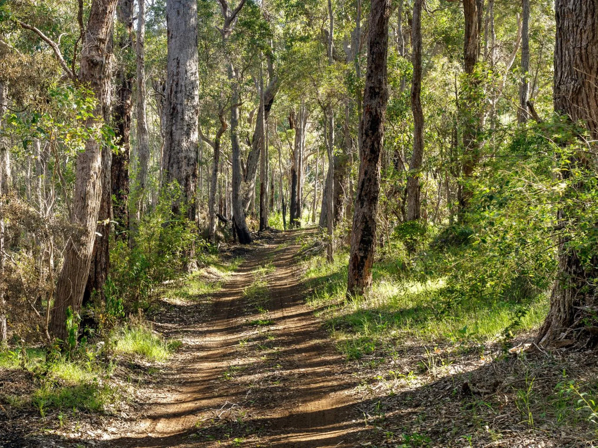 Natural landscape in The Deck - Margaret River NEW