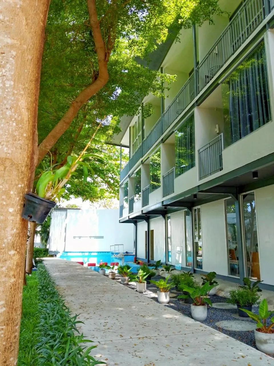 Garden view in Sunset Serenity Jomtien Resort