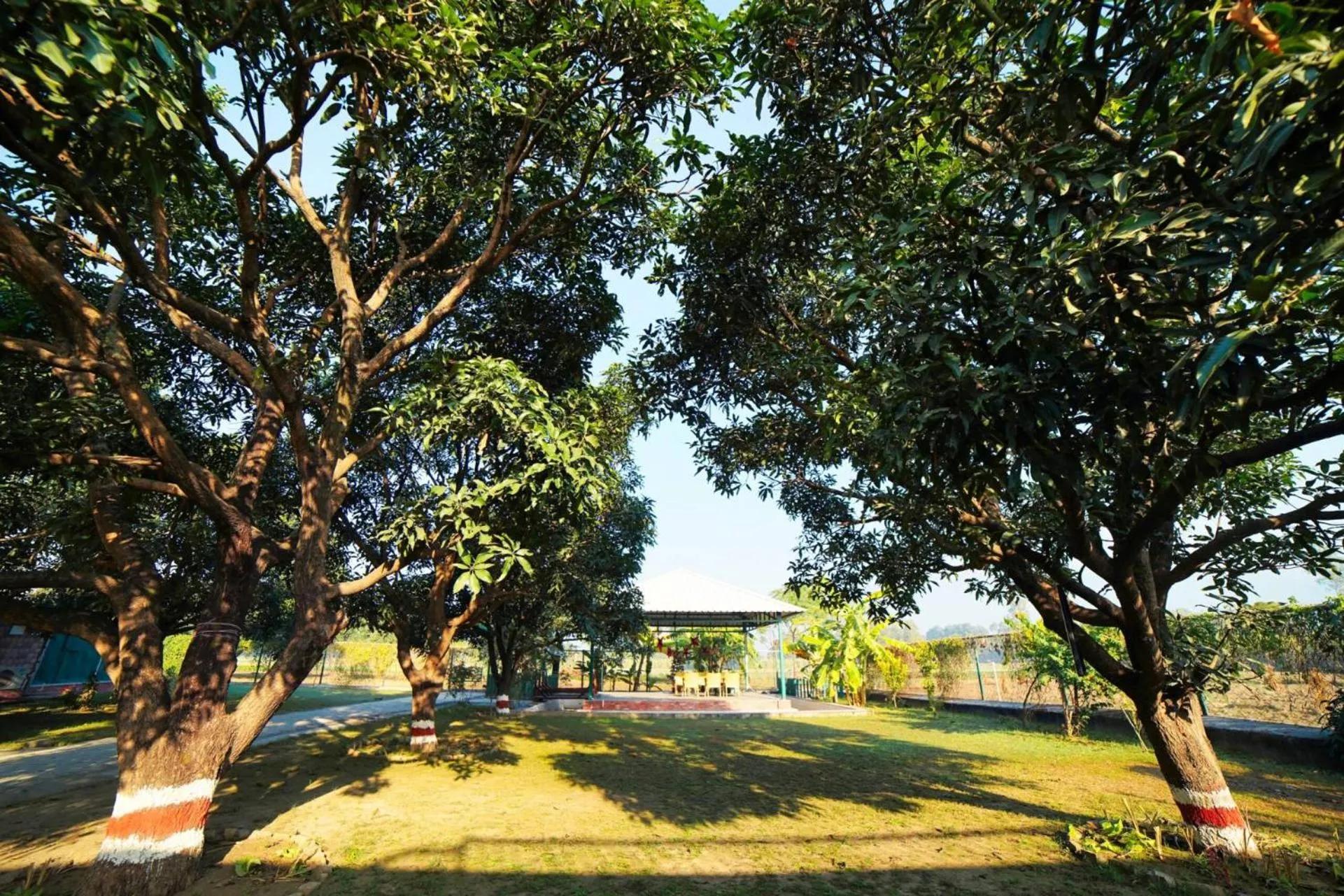 Spring in Sukoon - A Wellness Resort, Uttarakhand