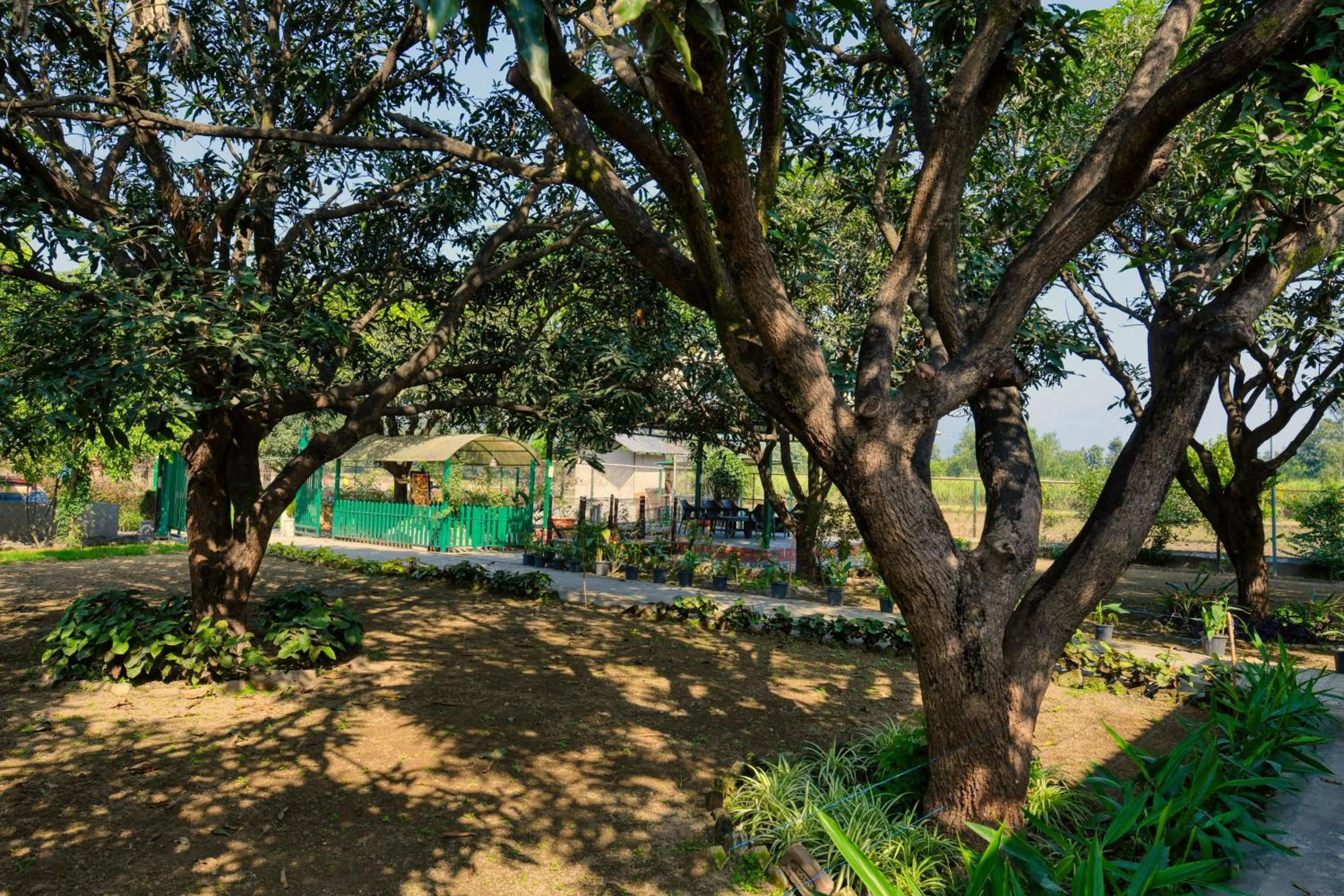 Sukoon - A Wellness Resort, Uttarakhand