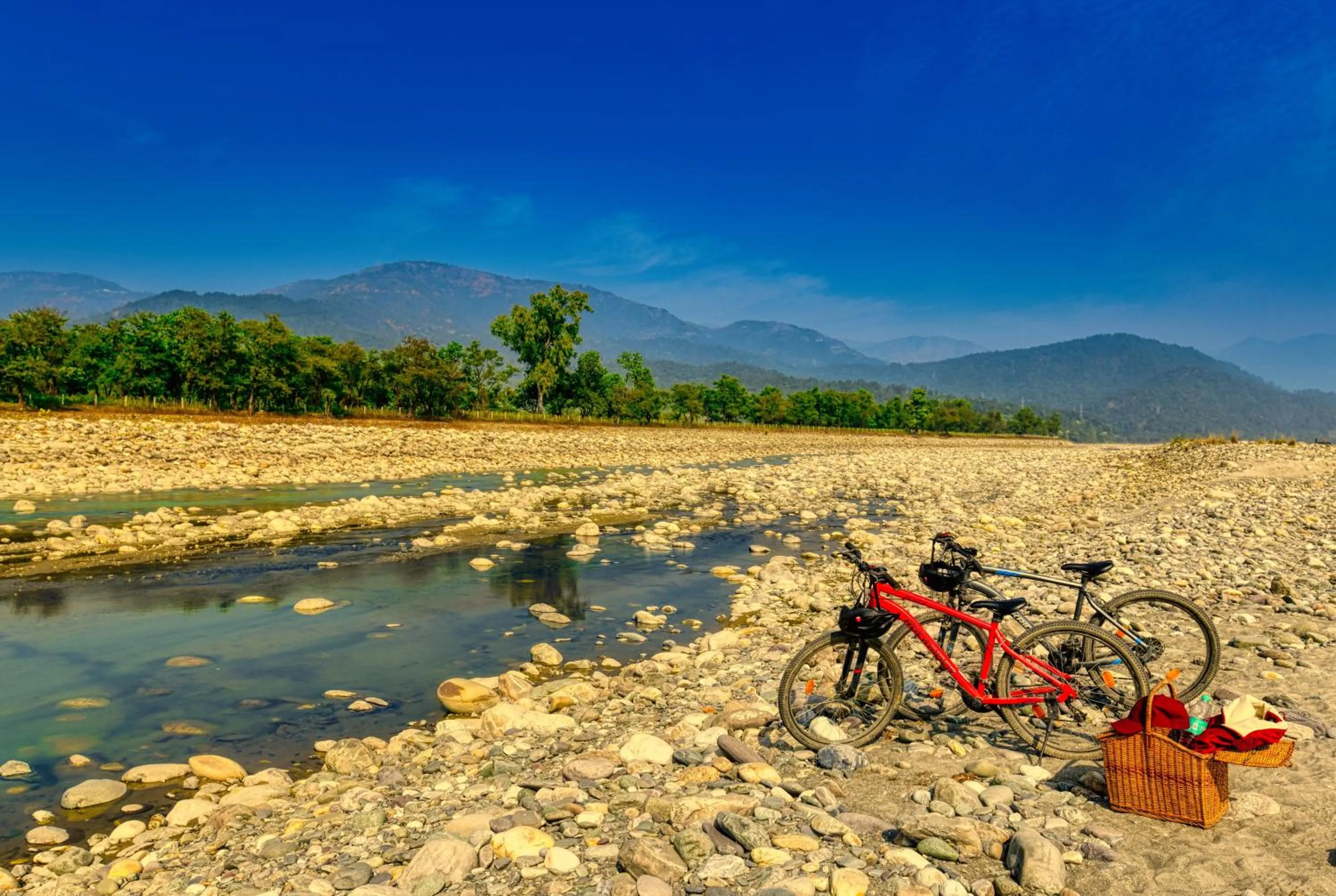Sukoon - A Wellness Resort, Uttarakhand
