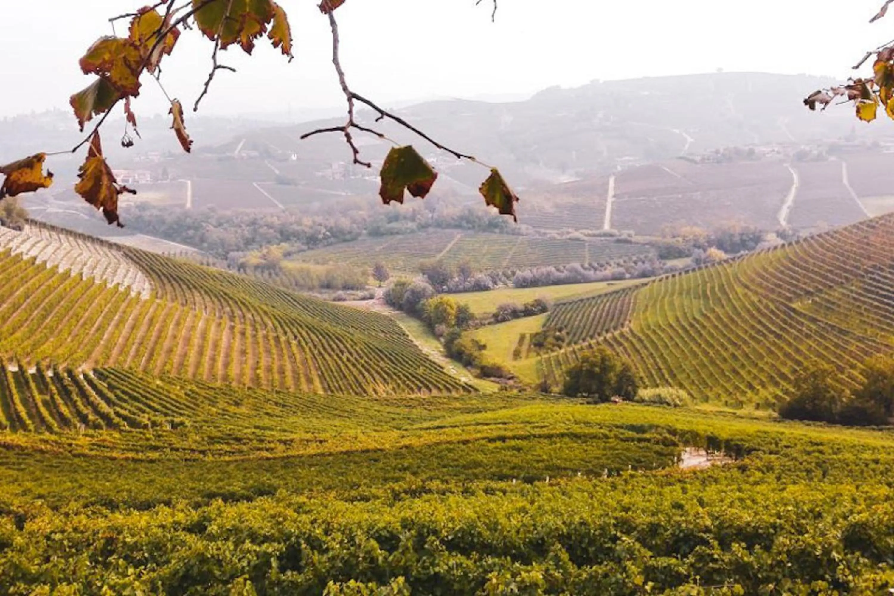 Natural landscape in Abbadia Sicille Relais