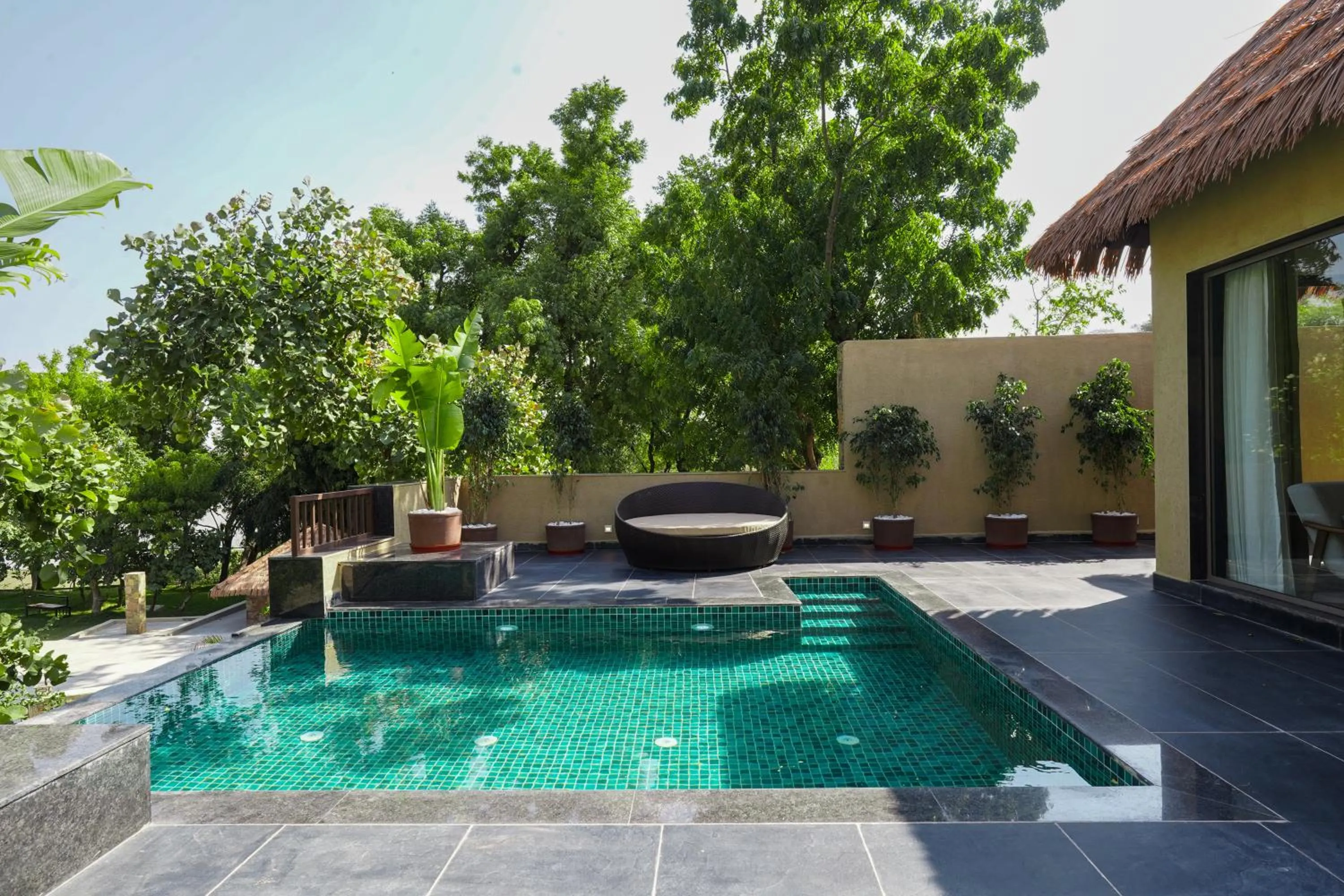 Pool view in Tree of Life Amara Resorts & Spa, Udaipur