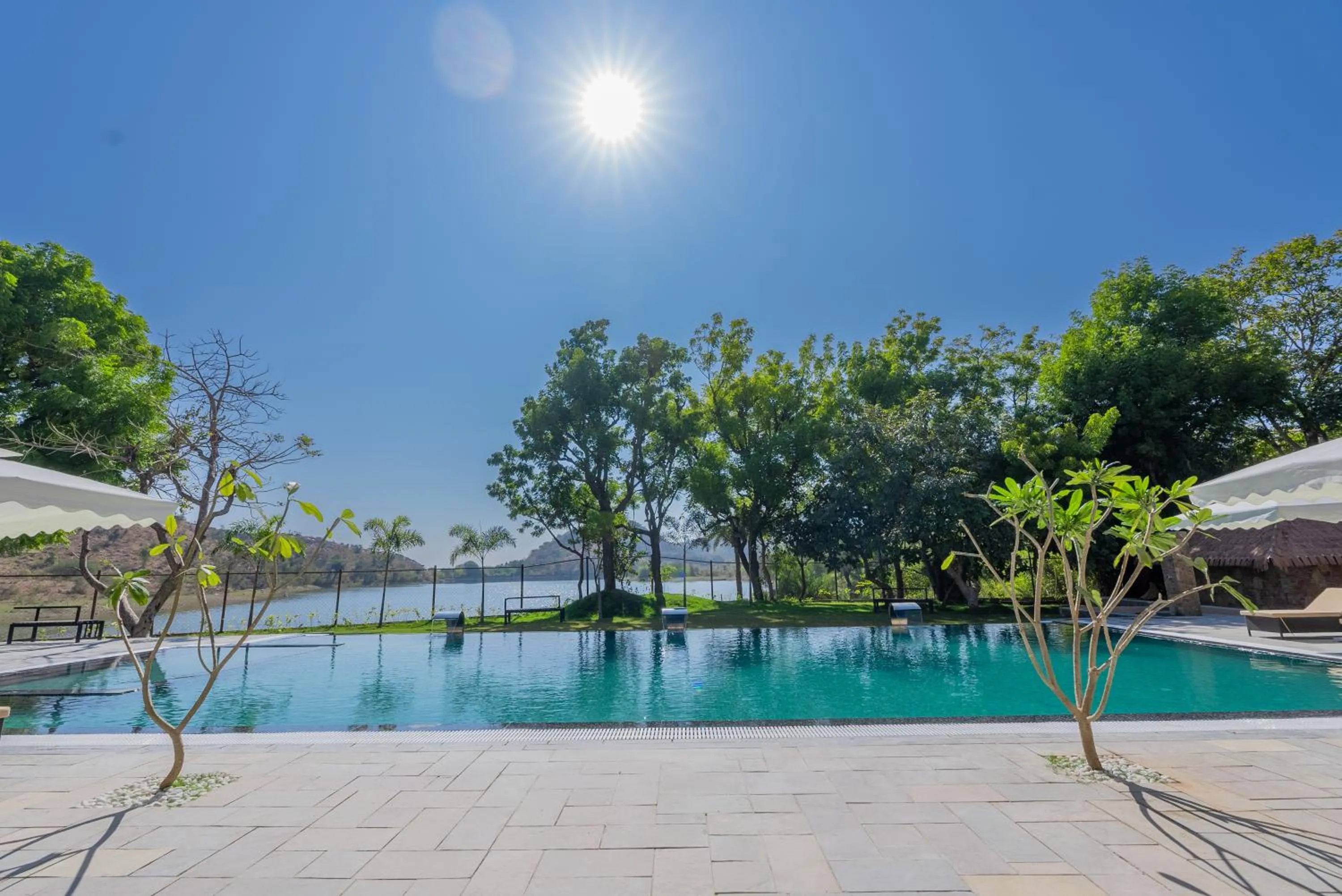 Swimming pool in Tree of Life Amara Resorts & Spa, Udaipur