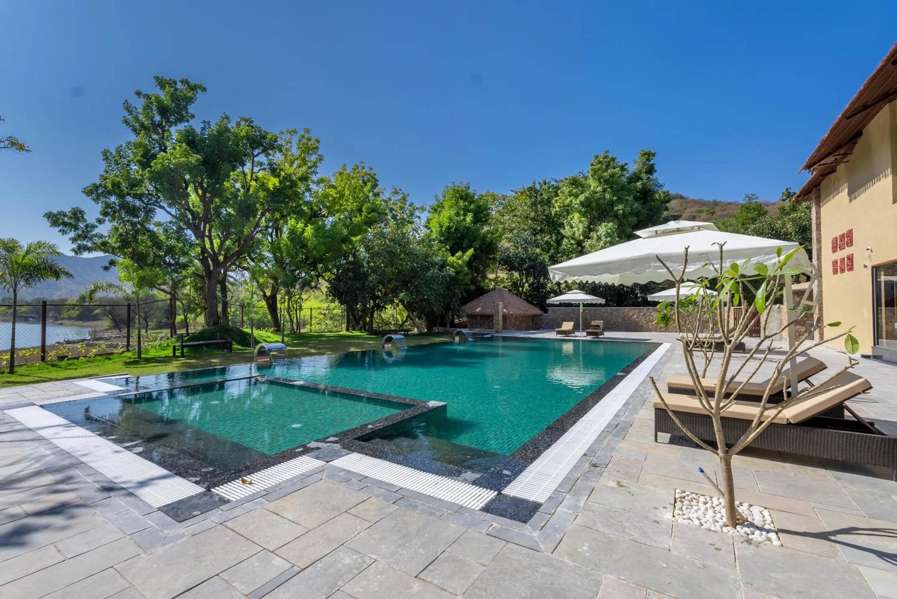 Swimming pool in Tree of Life Amara Resorts & Spa, Udaipur