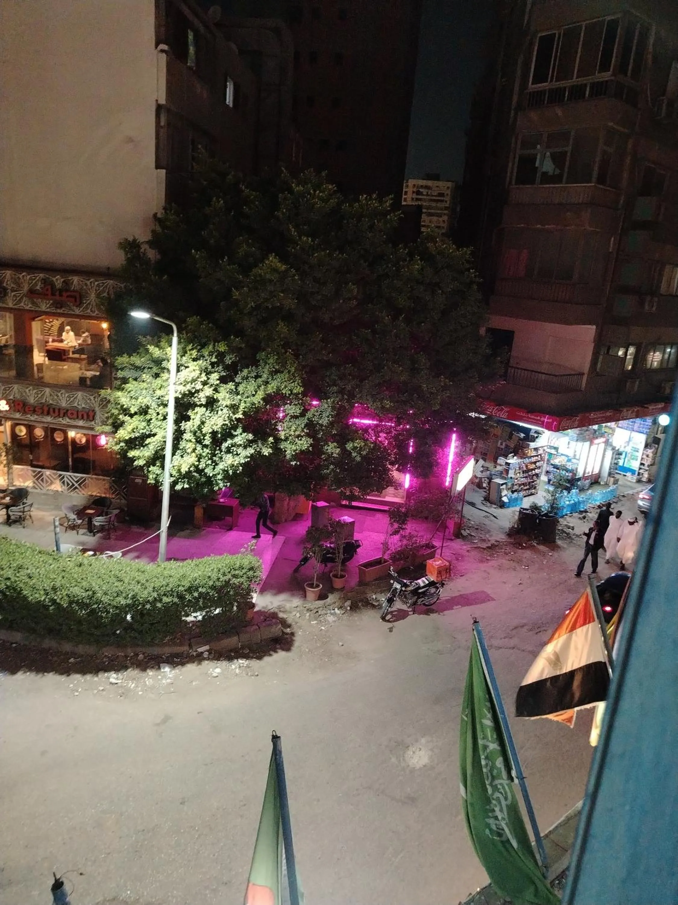 View (from property/room) in Dreamers Hotel