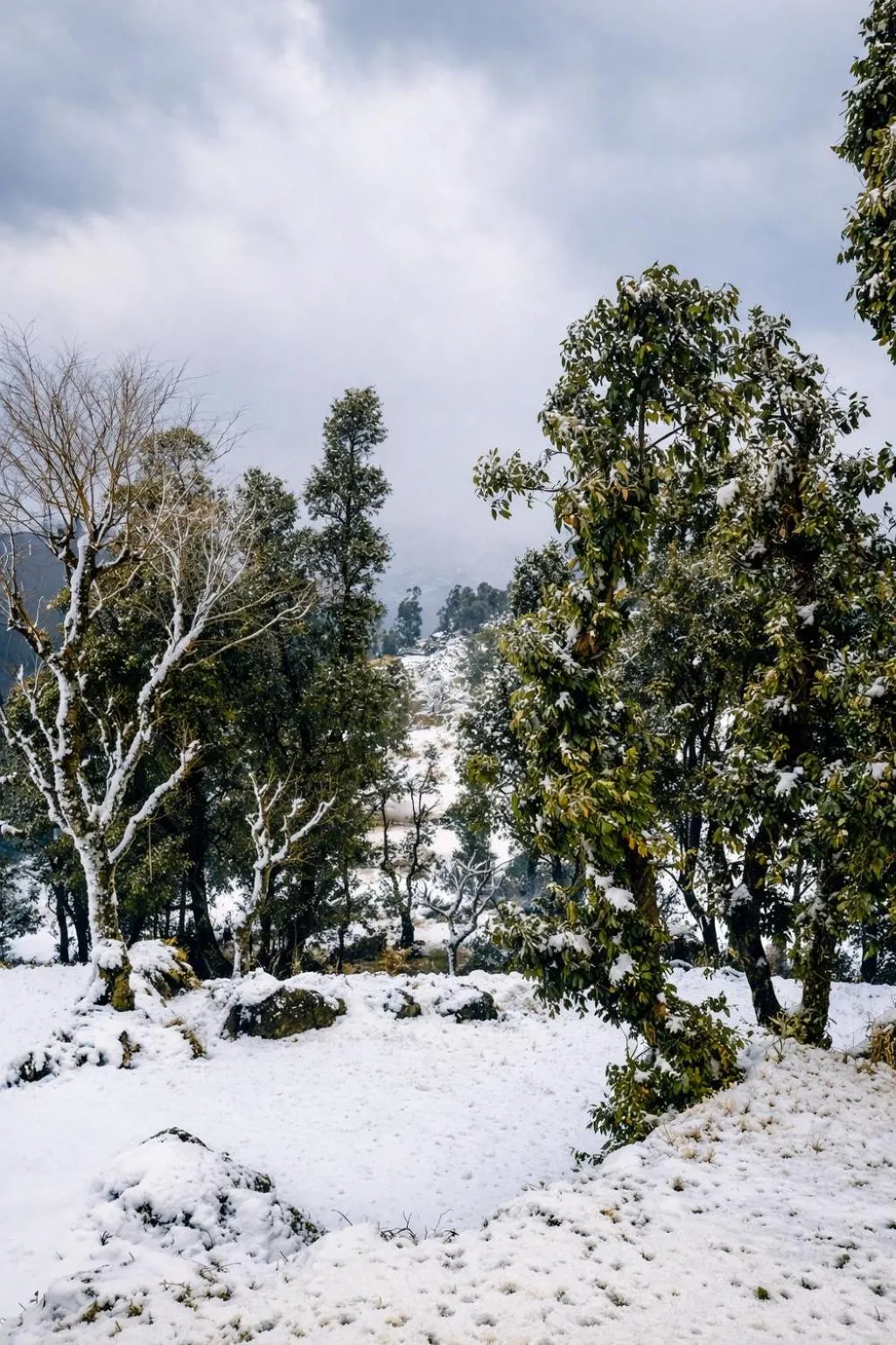 View (from property/room) in Echoes of the Himalayas
