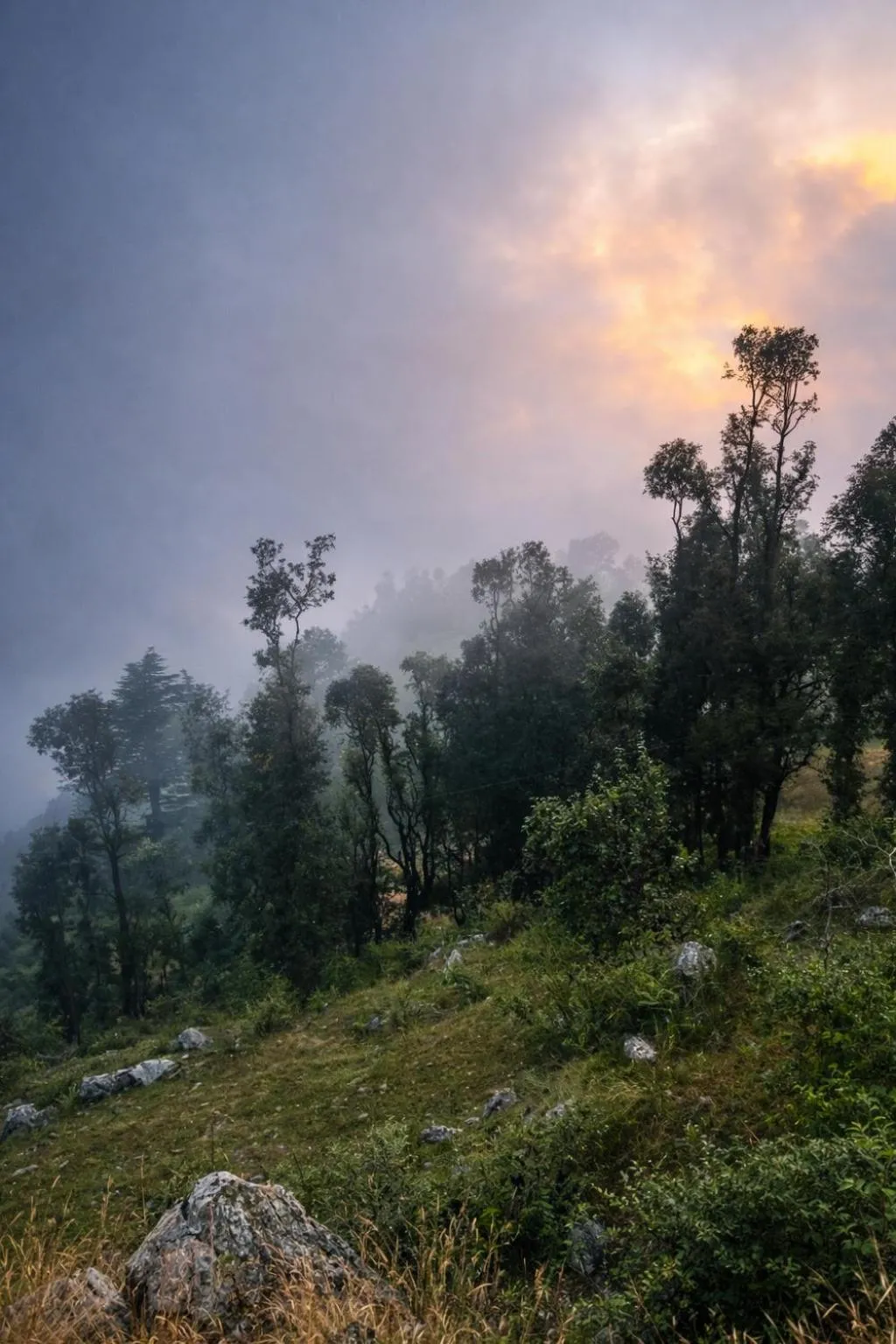 Natural landscape in Echoes of the Himalayas