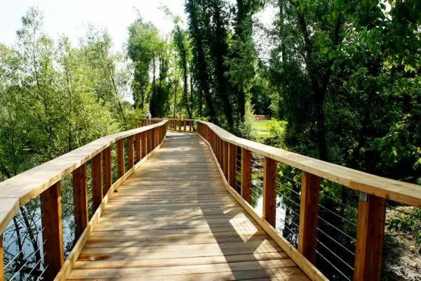 Nearby landmark in Antica Dimora Stucky