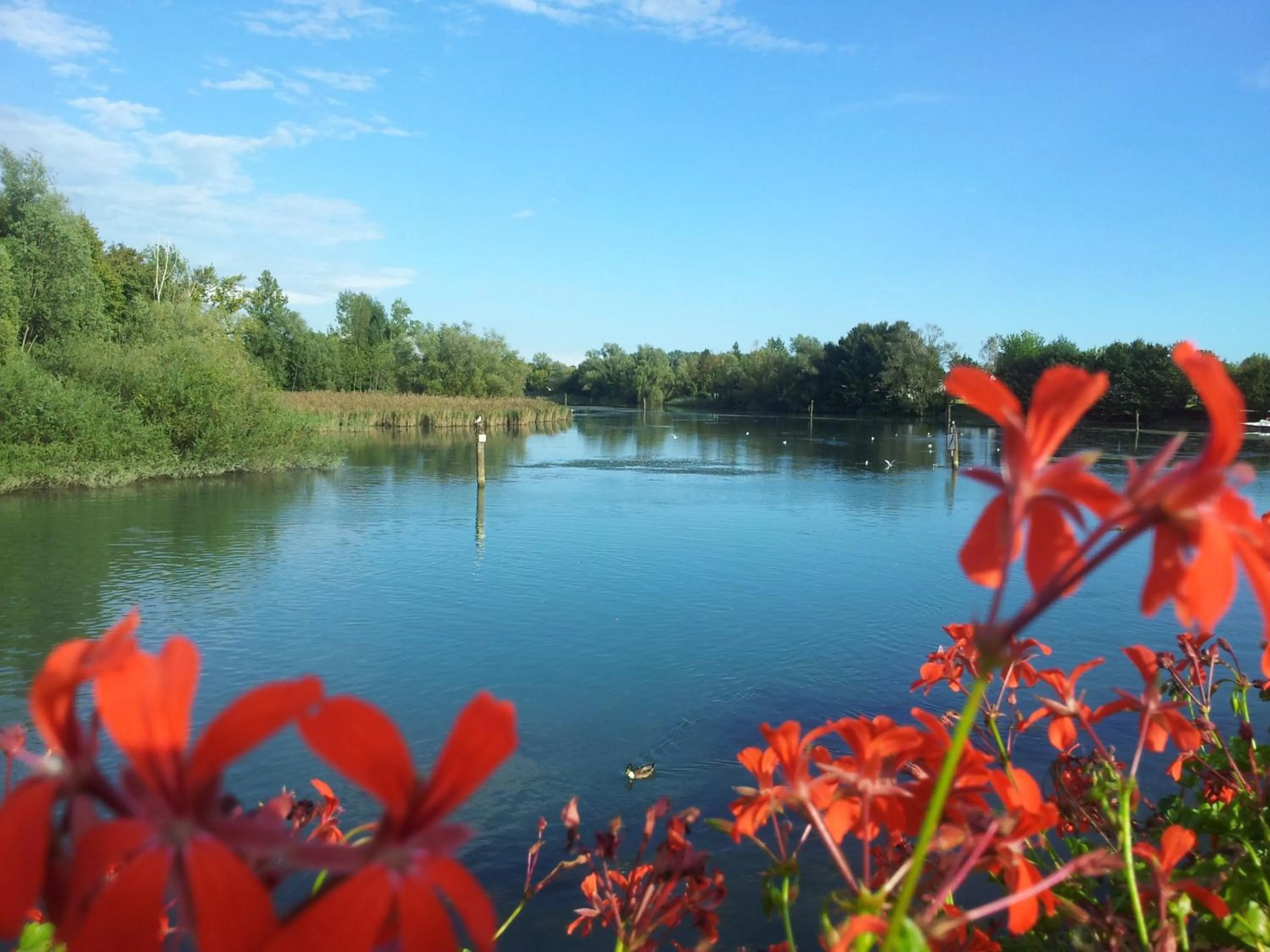 Natural landscape in Antica Dimora Stucky